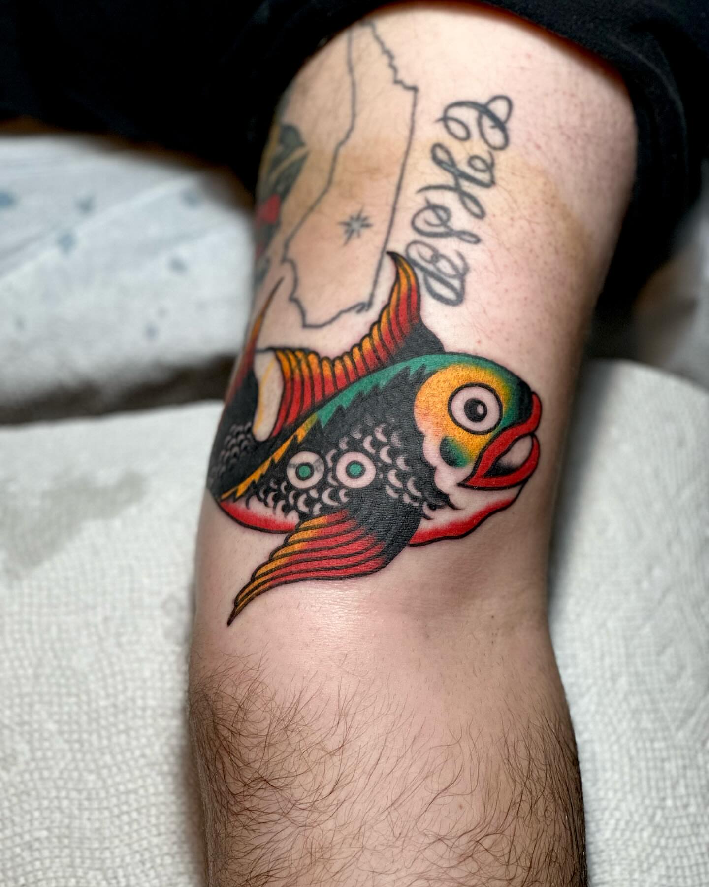 Fish American traditional tattoo on the forearm by San Diego tattoo artist