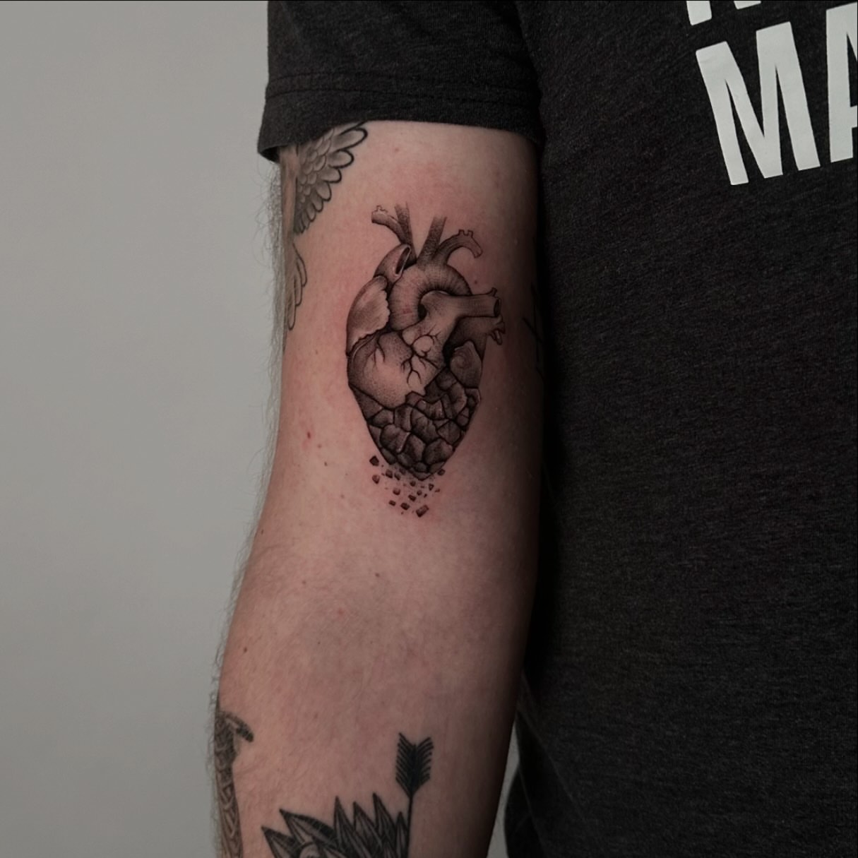 Anatomical heart realism tattoo on the forearm by Stephanie Pedraza
