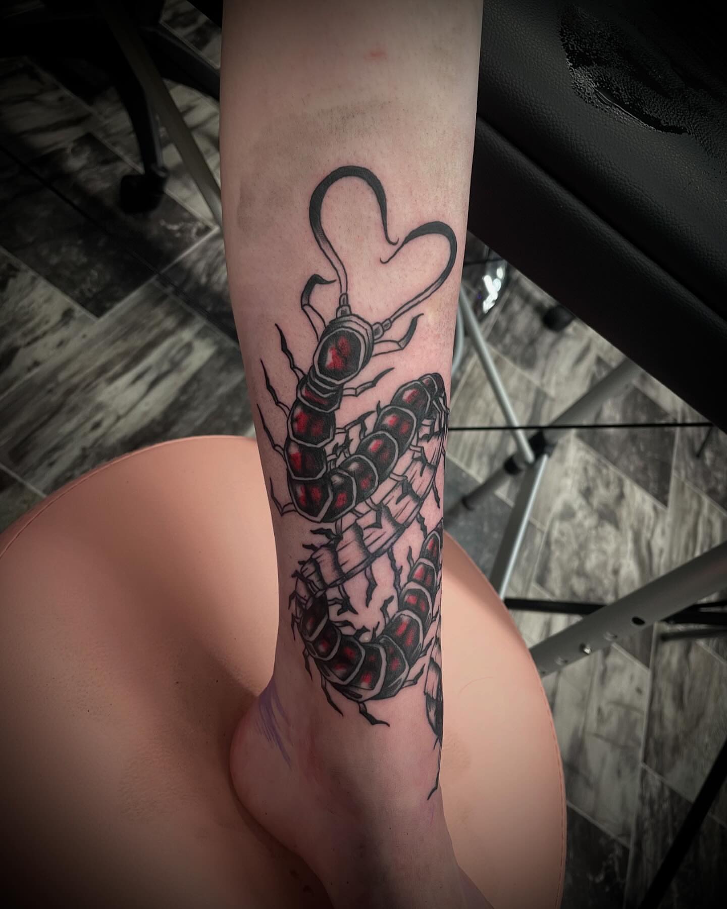 Centipede black and grey tattoo on the forearm by Kaylee 🗡️