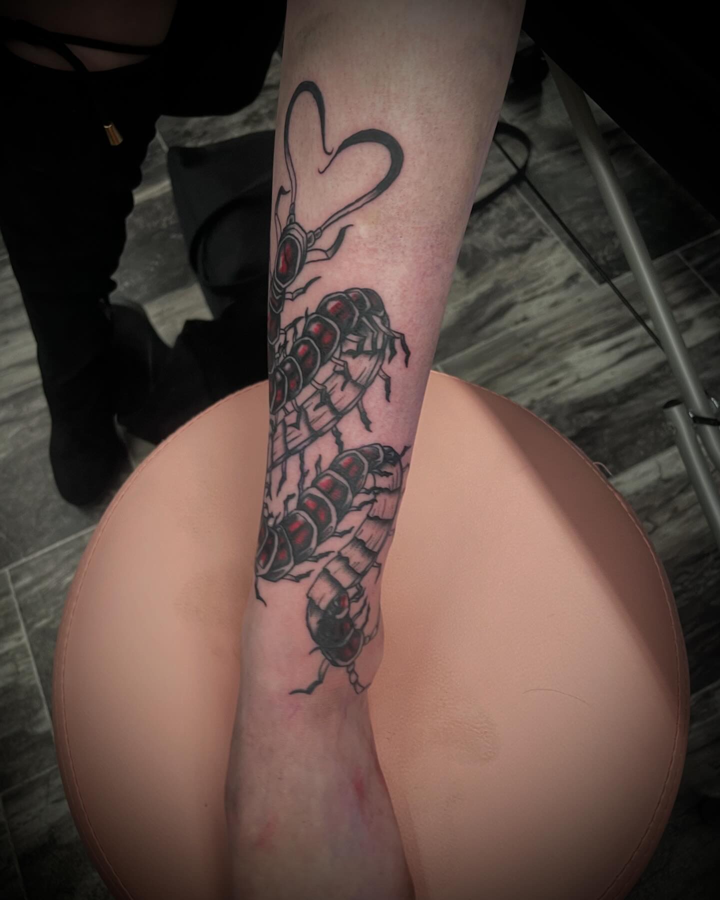Centipede black and grey tattoo on the forearm by Kaylee 🗡️
