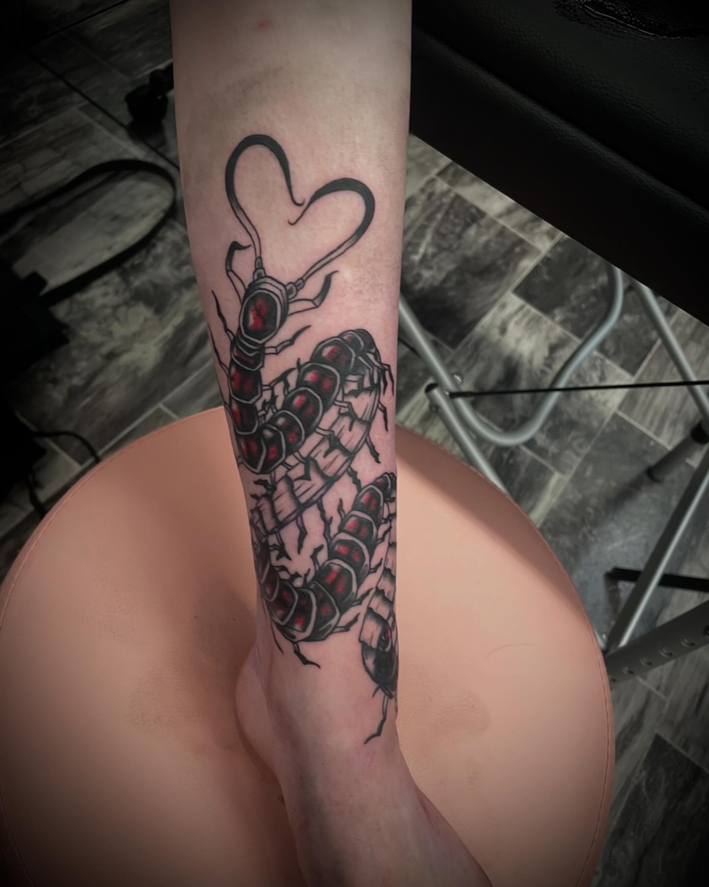 Centipede black and grey tattoo on the forearm by Kaylee 🗡️