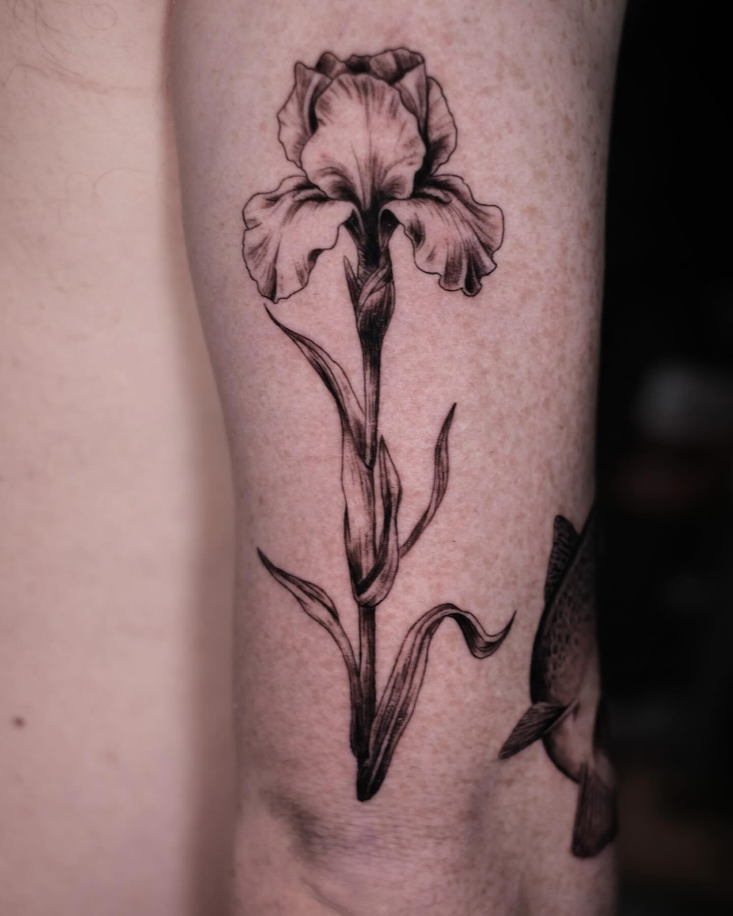 Tattoo by @keithgobleart — black_and_grey