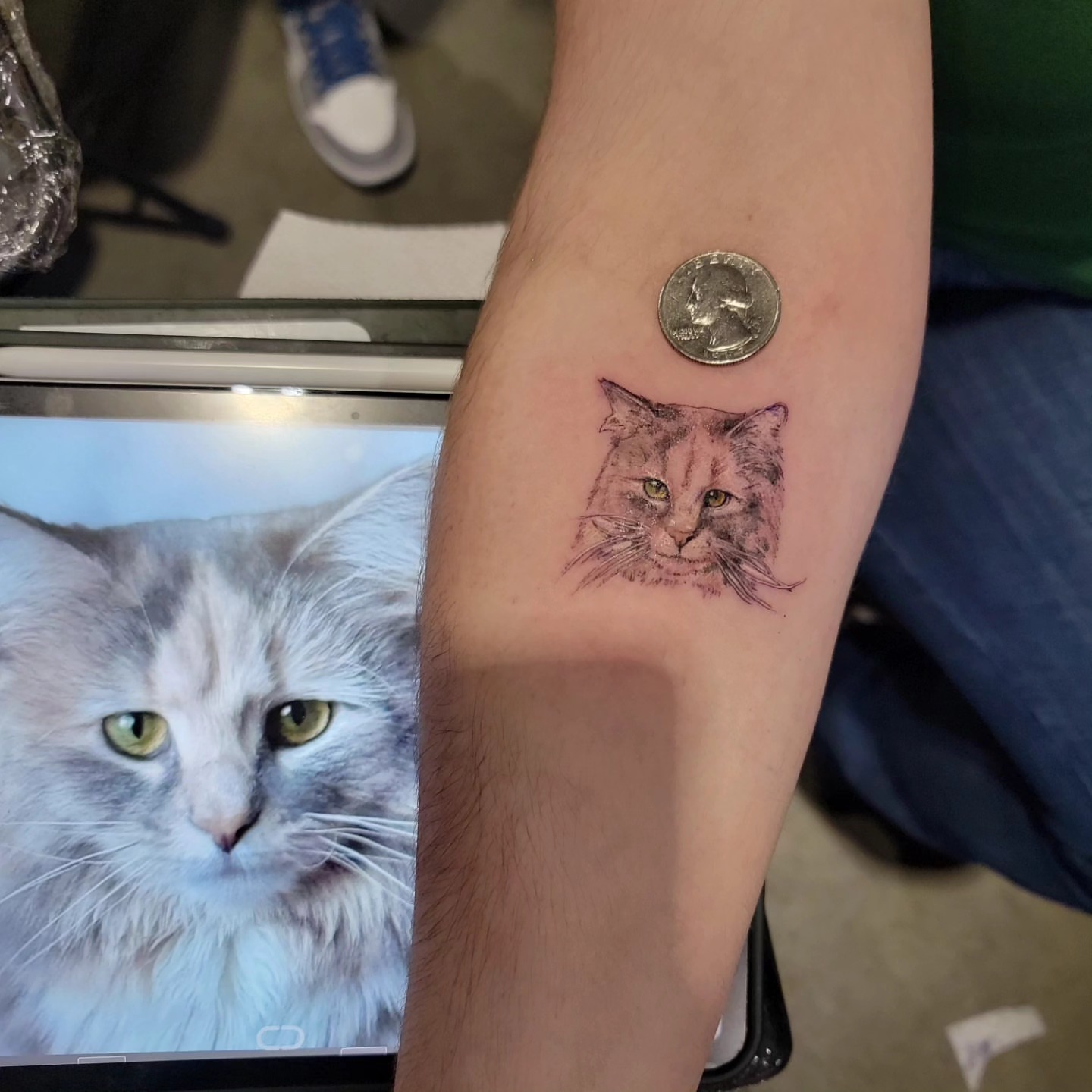 Cat realism tattoo on the forearm by Sai Machain