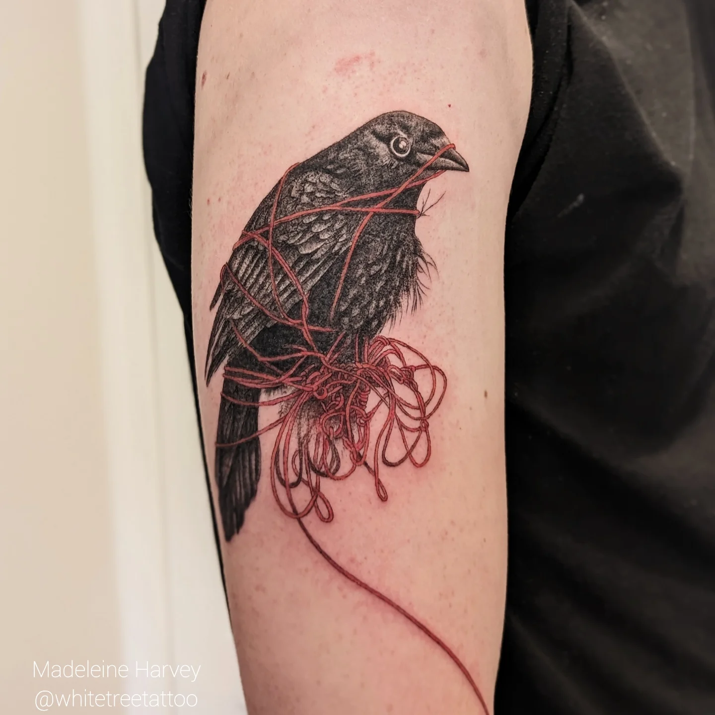 Bird entangled in string realism tattoo on the forearm by Maddie
