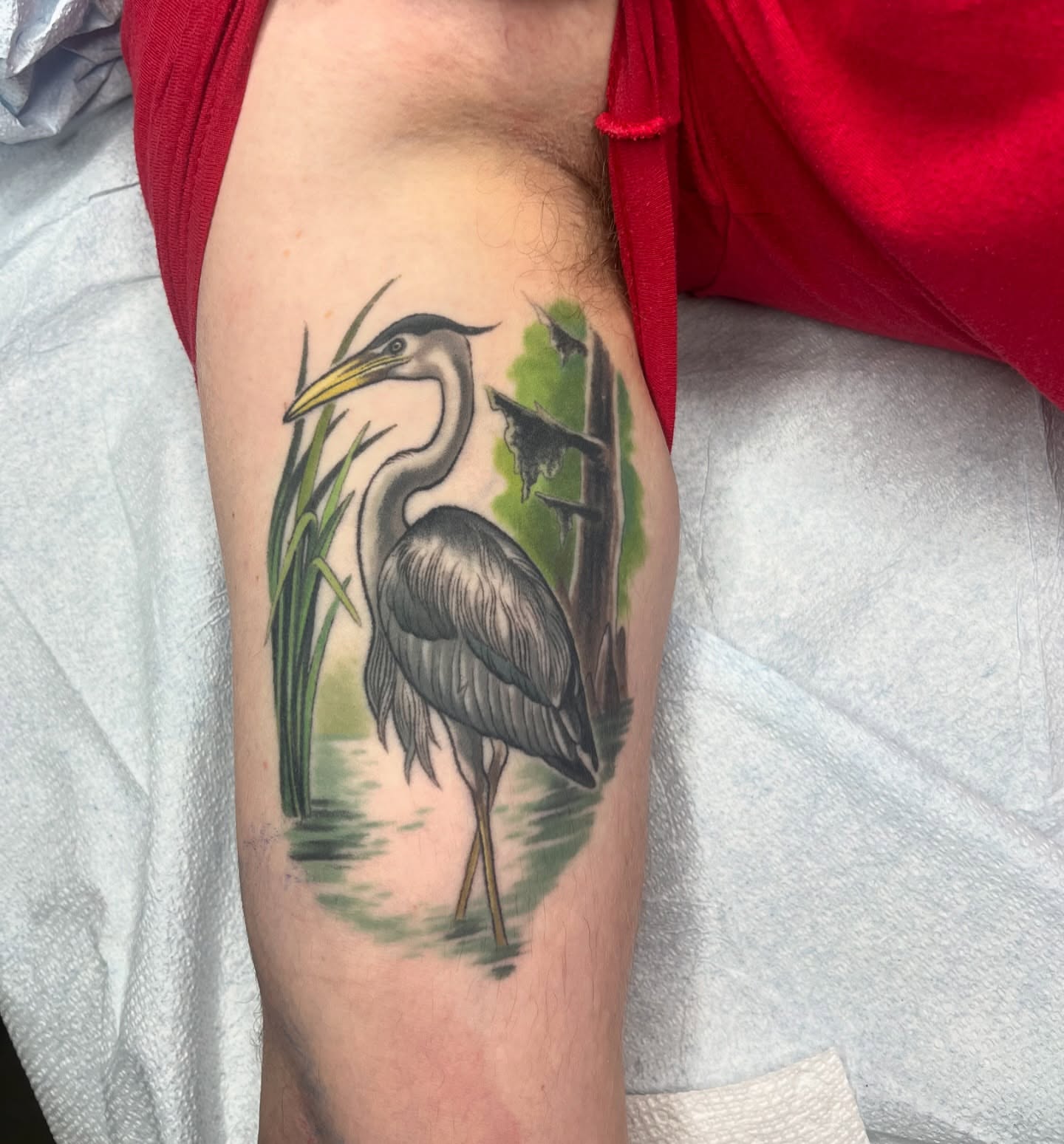 Heron realism tattoo on the forearm by Angelique Sanders, Tellico Plains, Tennessee