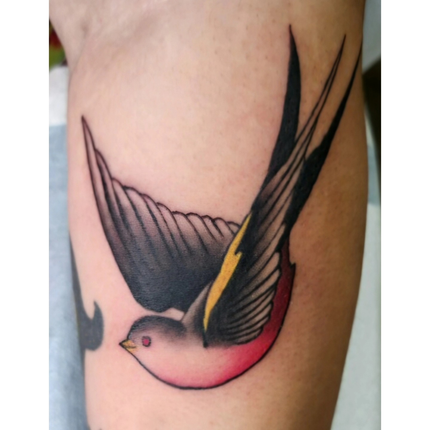 Swallow American traditional tattoo on the forearm by The Fabled Tattooist (Alyssa Summers), Eagle Point, Oregon