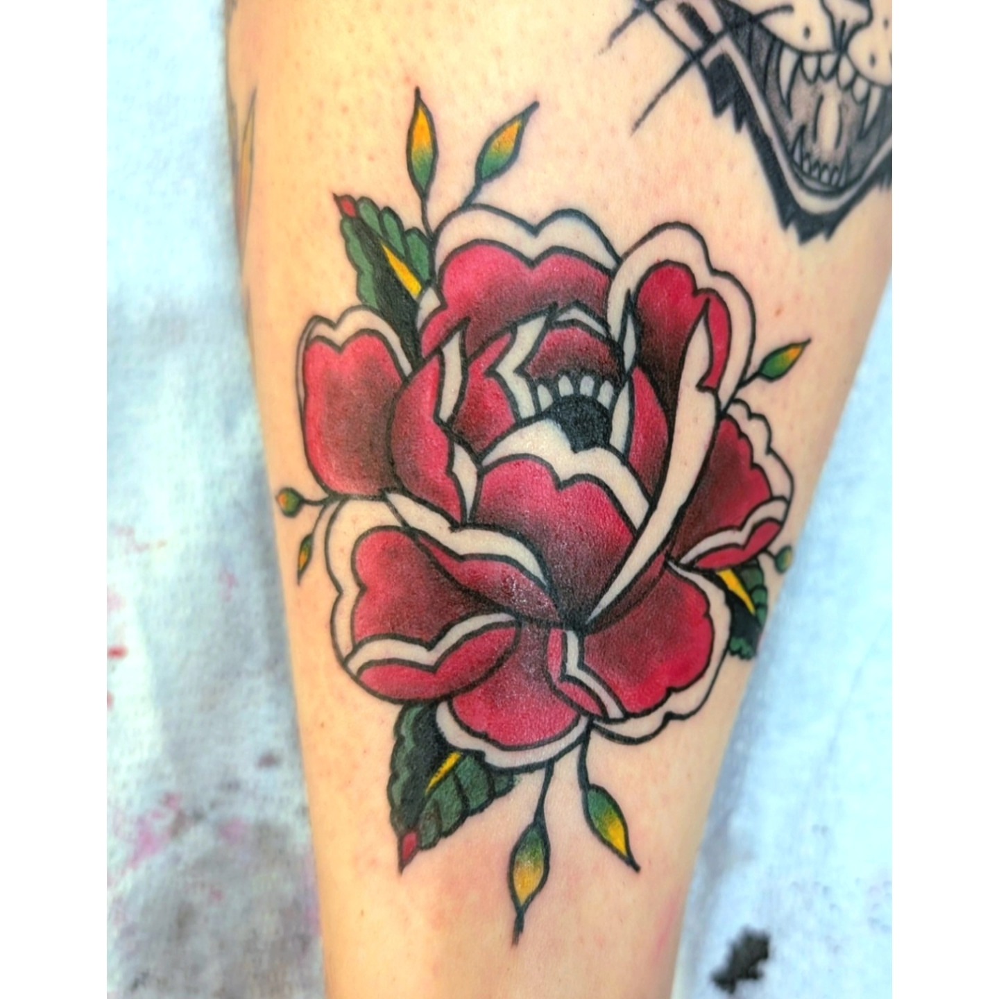 Red rose American traditional tattoo on the leg by The Fabled Tattooist (Alyssa Summers), Eagle Point, Oregon