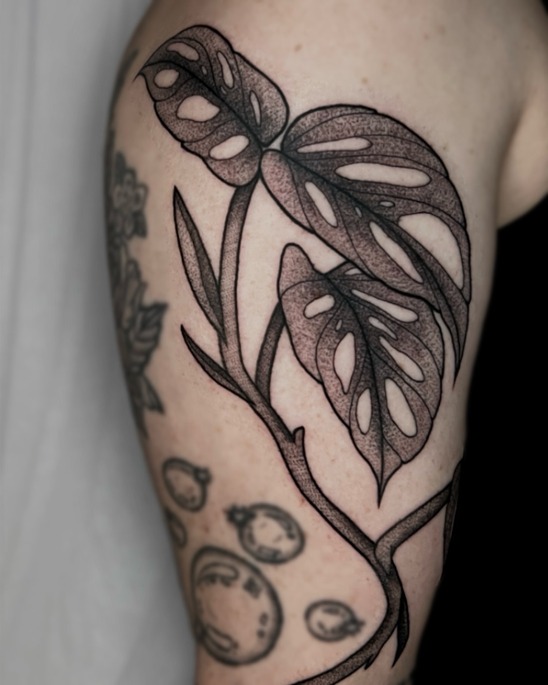 Monstera leaf dotwork tattoo on the forearm by ๐๐๐ฅ๐ฅ๐ข๐ ๐๐๐ก๐ข๐ฅ๐ฅ๐ข๐ง๐