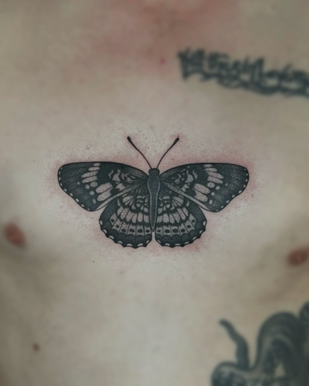 Butterfly black and grey tattoo on the chest by ๐๐๐ฅ๐ฅ๐ข๐ ๐๐๐ก๐ข๐ฅ๐ฅ๐ข๐ง๐