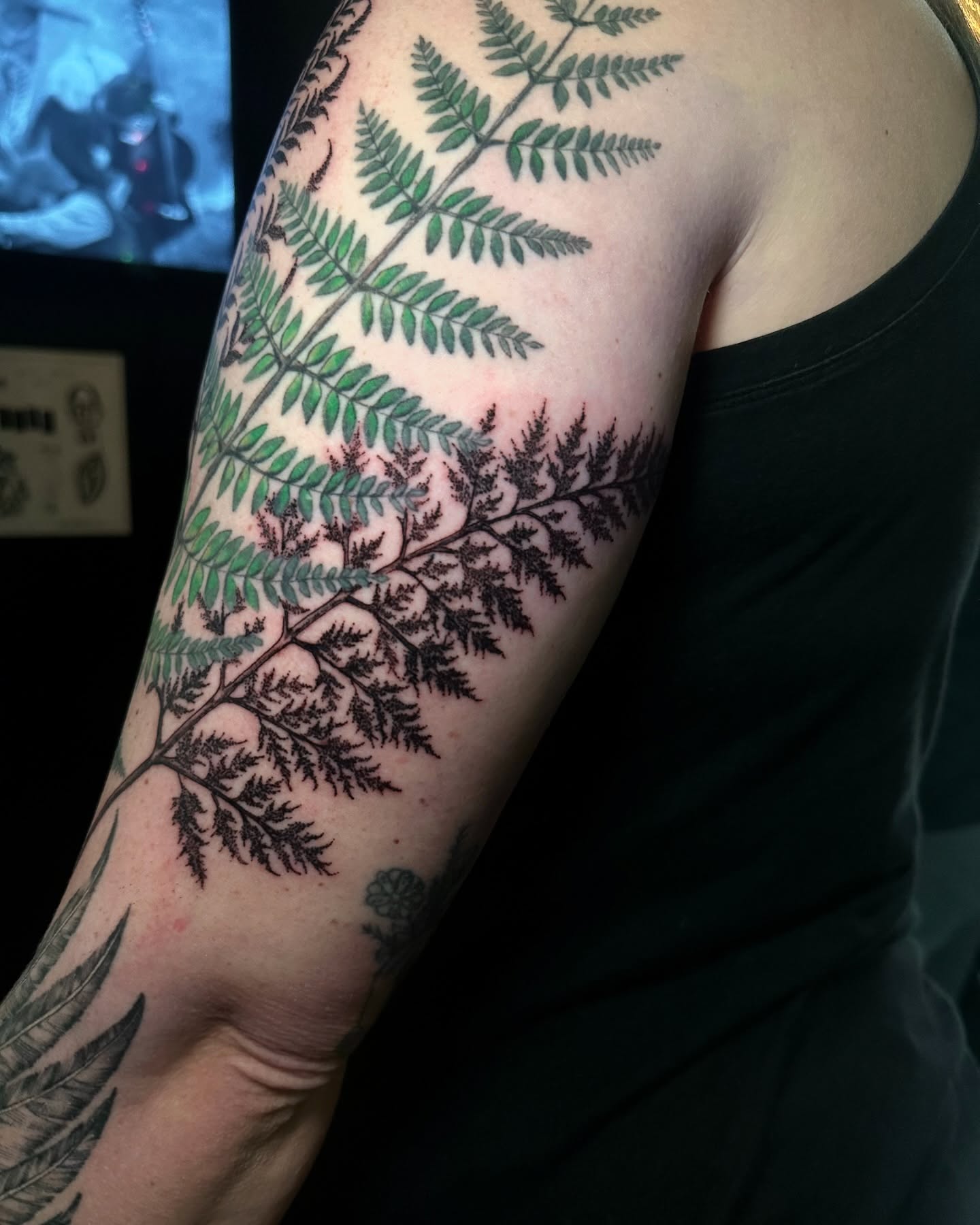 Fern black and grey tattoo on the upper arm by Abby ✣ fineline and blackwork ✣