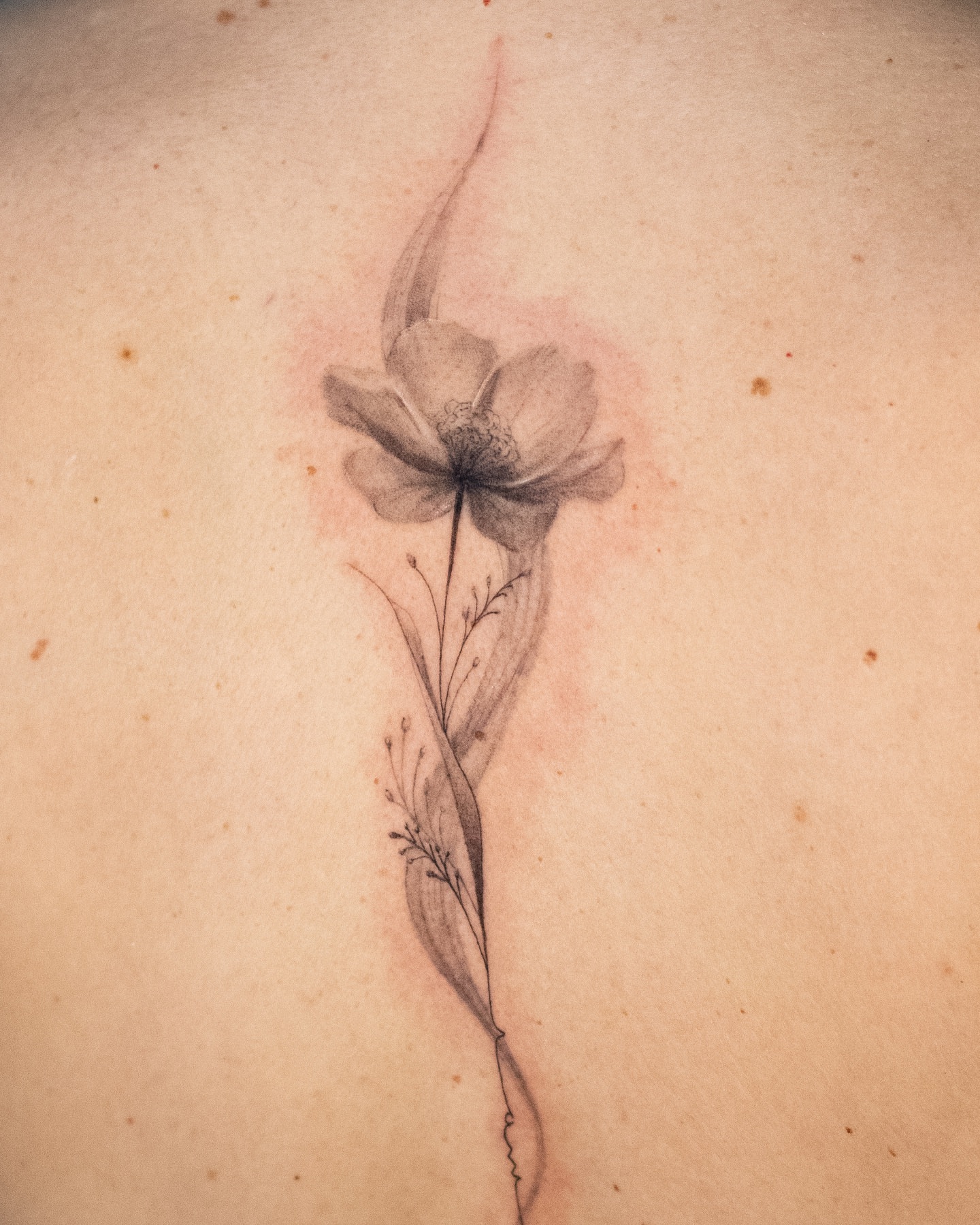 Tattoo by @viento_tattoos โ black_and_grey