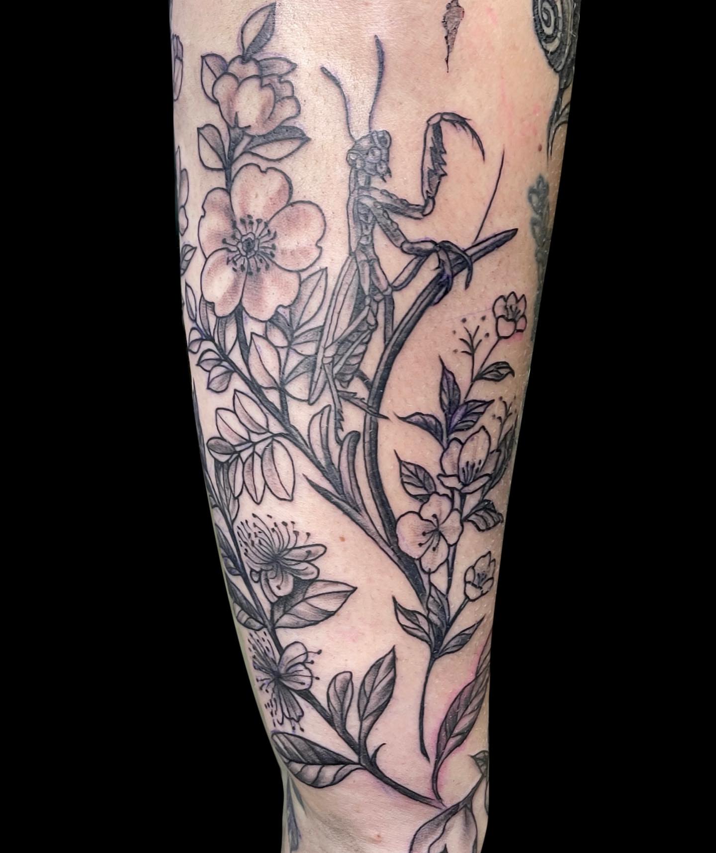 Praying mantis and blossoms realism tattoo on the forearm by Antoinette