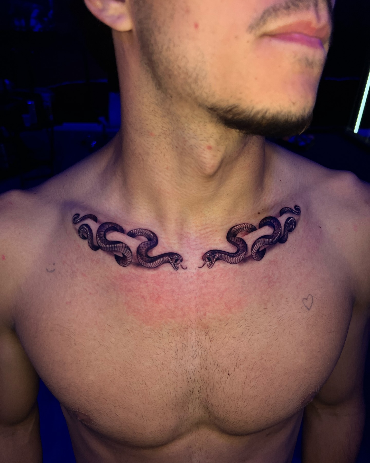 Snakes black and grey tattoo on the chest by Raw Hound, Hialeah, Florida