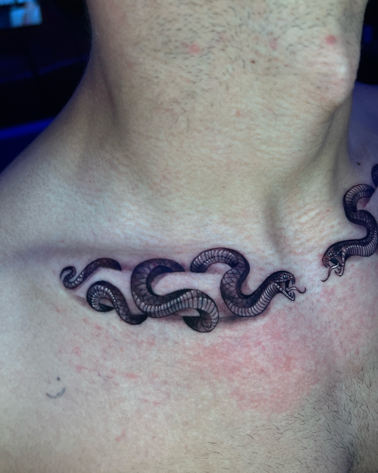 Snakes black and grey tattoo on the chest by Raw Hound, Hialeah, Florida