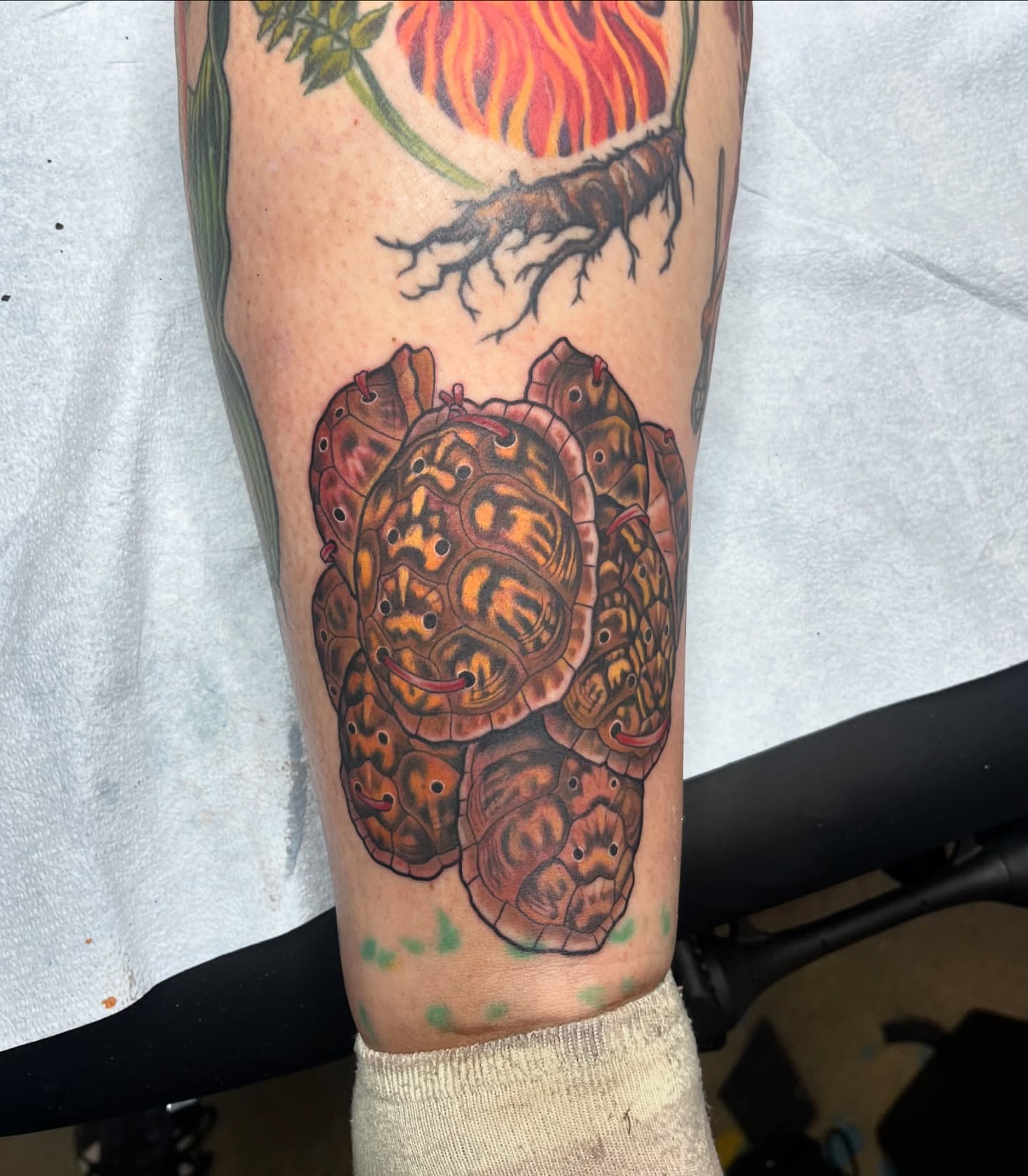 Turtles realism tattoo on the forearm by Angelique Sanders, Tellico Plains, Tennessee
