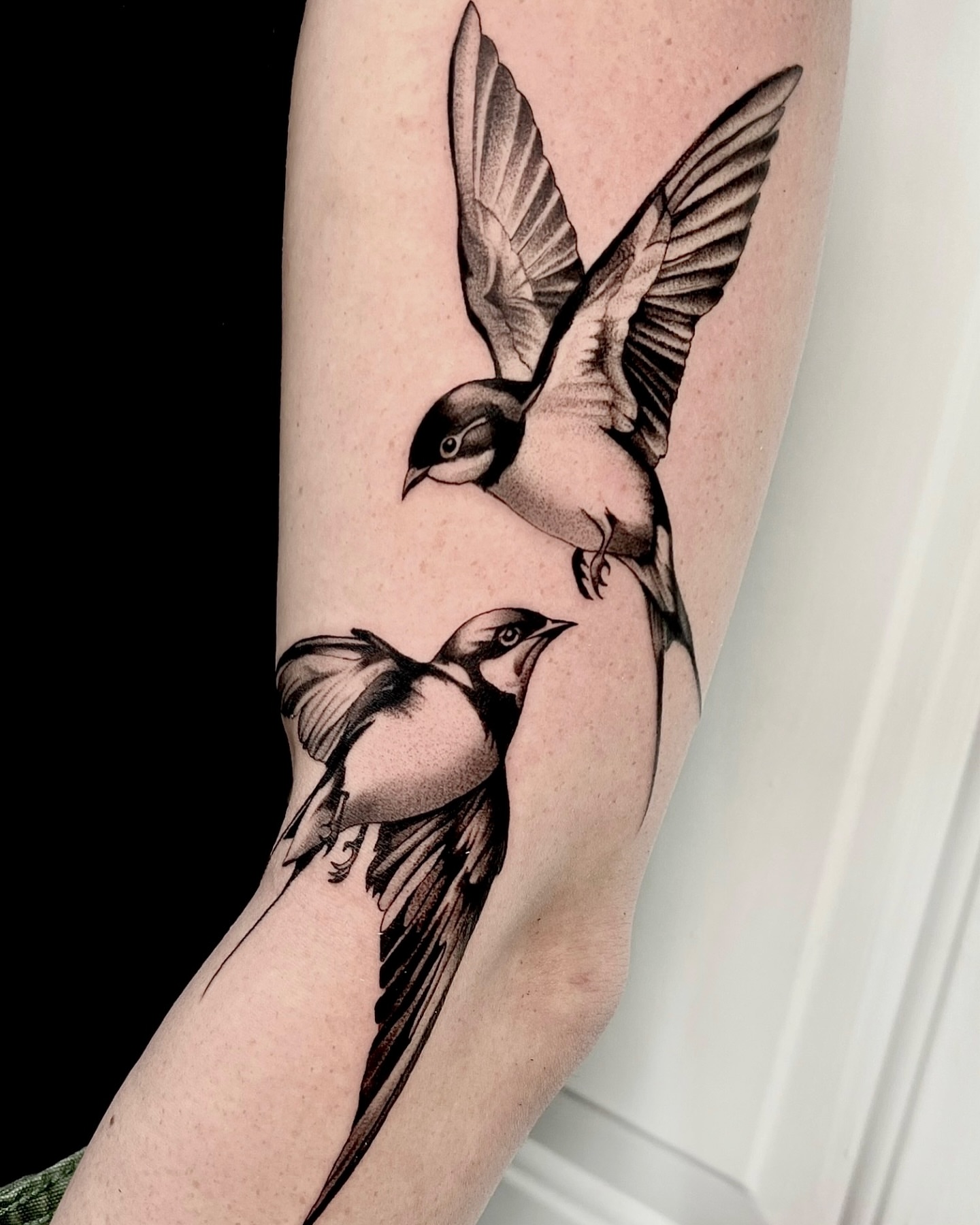 Birds realism tattoo on the forearm by 🤎Dannon 🕸