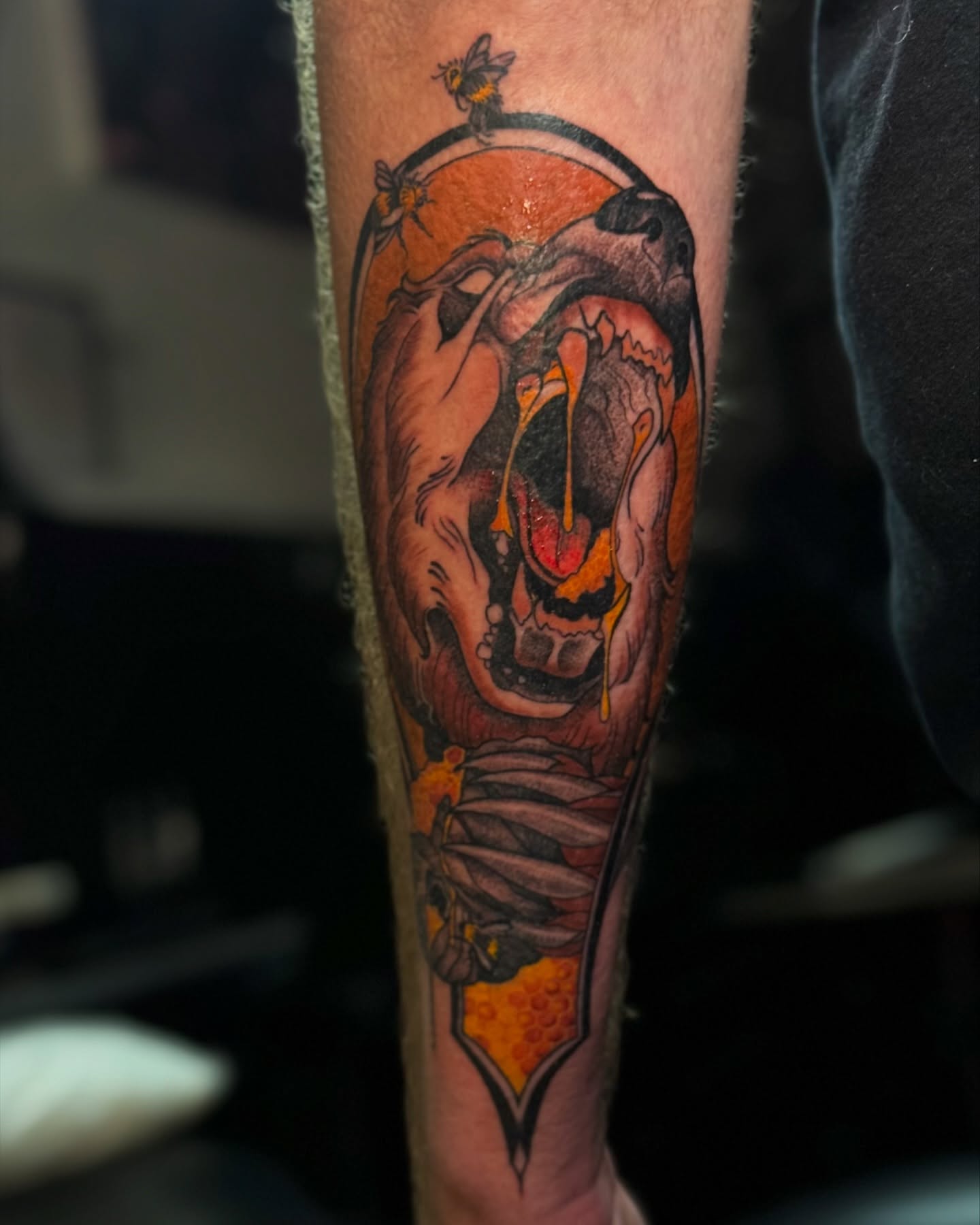 Roaring tiger realism tattoo on the forearm by Hailey K - Arizona Tattoo Artist, Miami, Florida