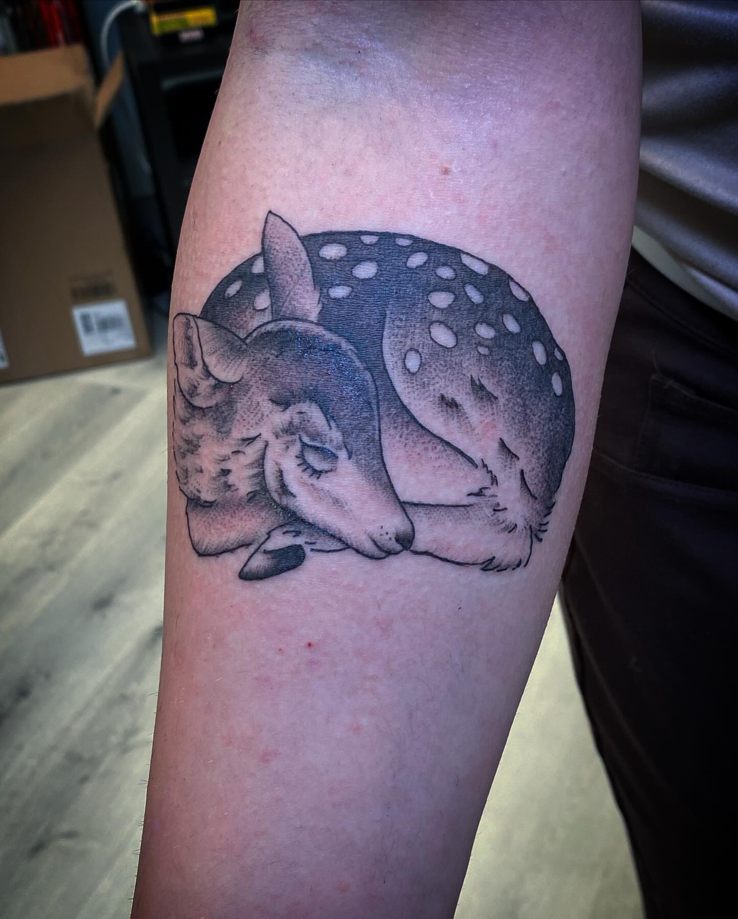 Sleeping deer black and grey tattoo on the forearm by Kyle Mitchell, Cincinnati