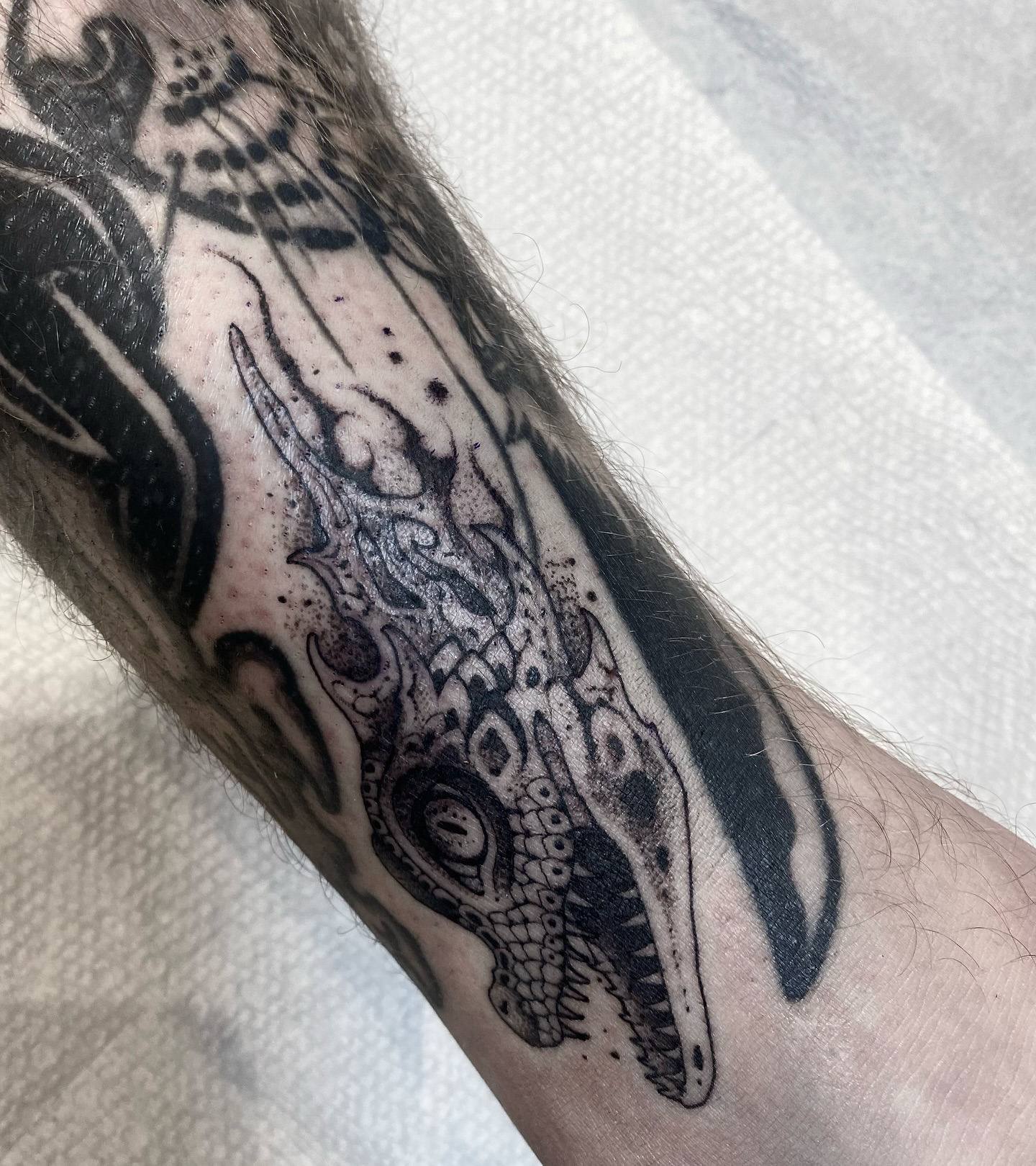 Dragon skull dotwork tattoo on the forearm by Becci Chelicerata