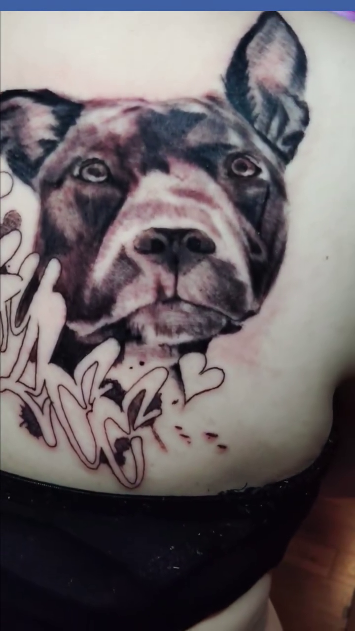 Dog portrait with script realism tattoo by Hot Dawg