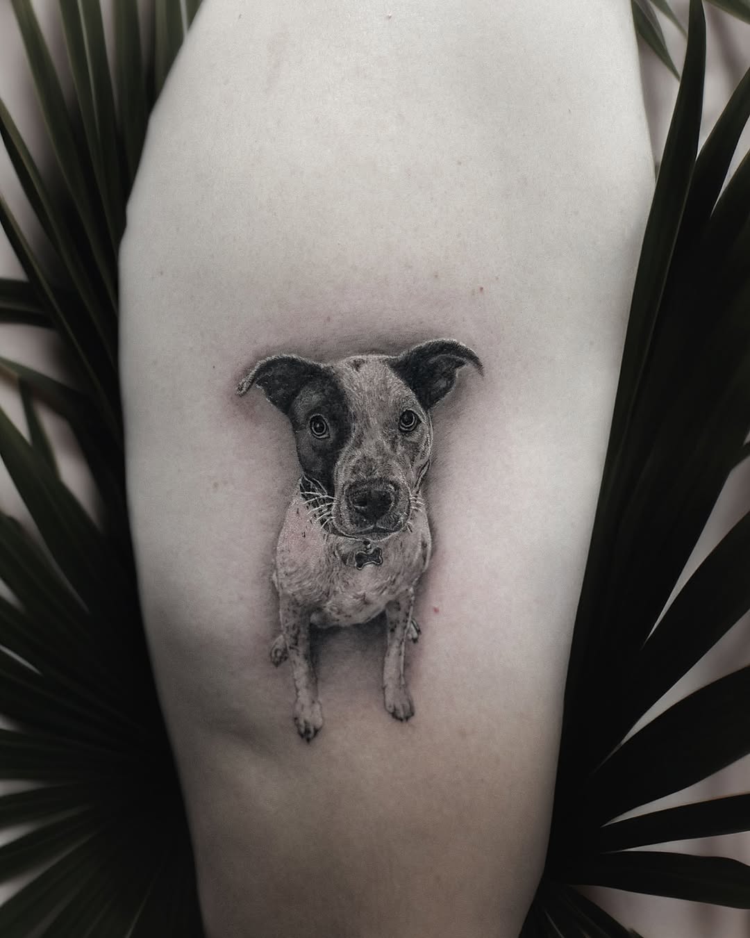 Dog portrait realism tattoo on the thigh by โ๏ธ Dima Sova โ๏ธ Tattoo ๐บ๐ธ Arlington VA