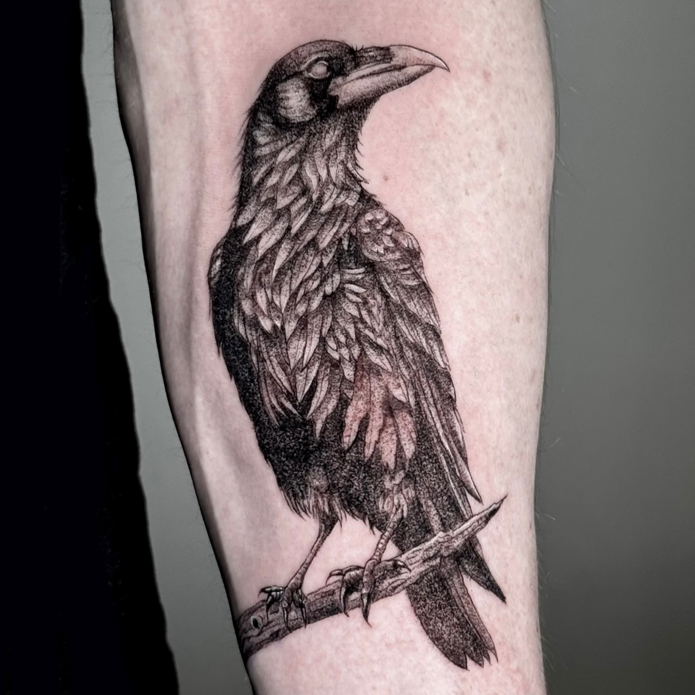 Crow dotwork tattoo on the forearm by Brisia Cisneros