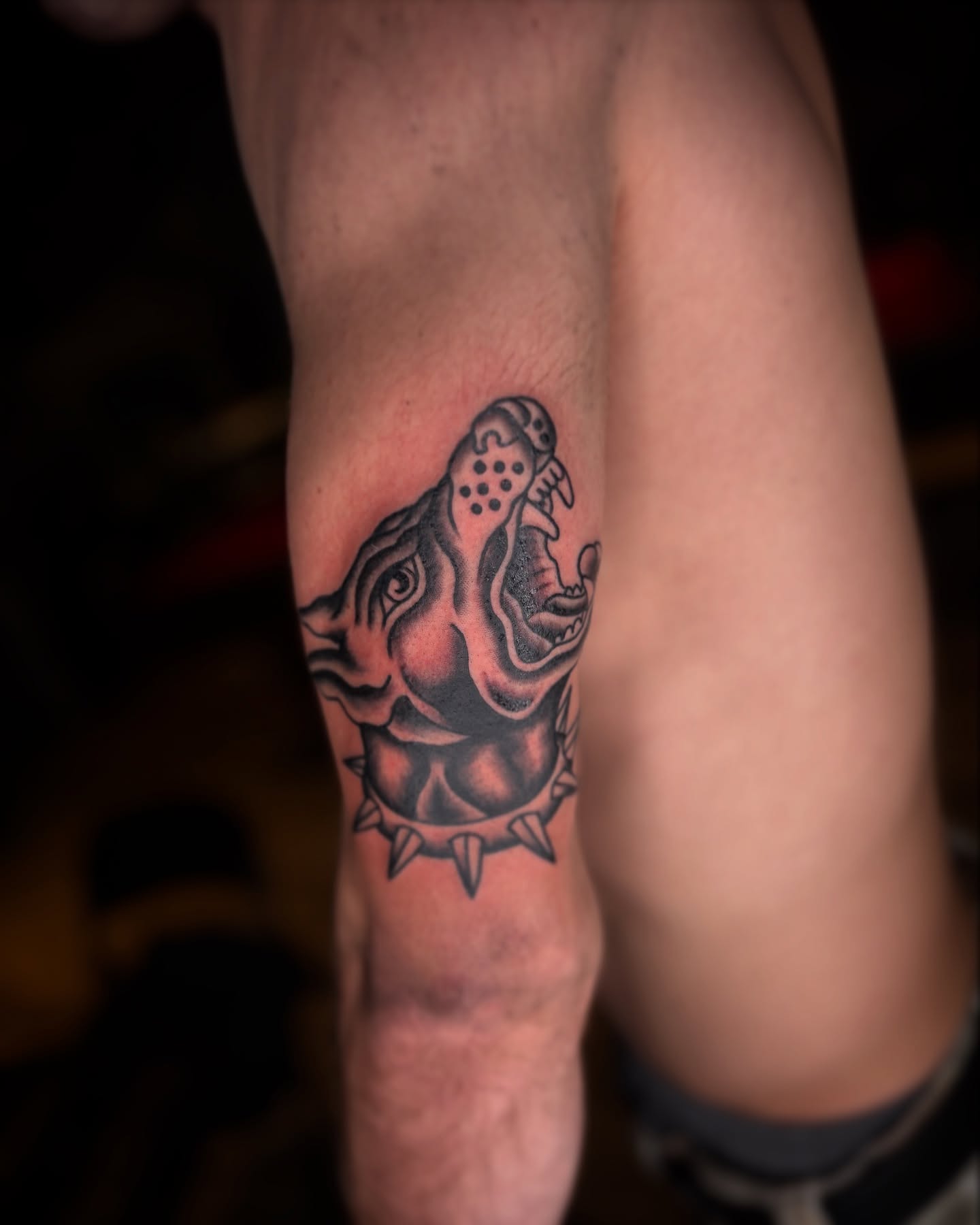 Tiger black and grey tattoo on the forearm by ✩ 🕯️☾༺♰ gracey ༻☽🕯️✩