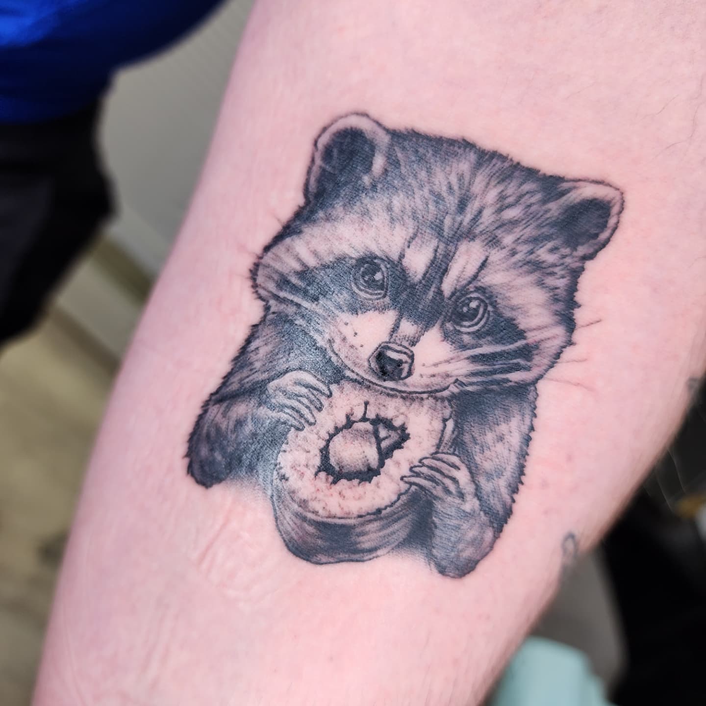 Raccoon realism tattoo on the forearm by Zach Mullins