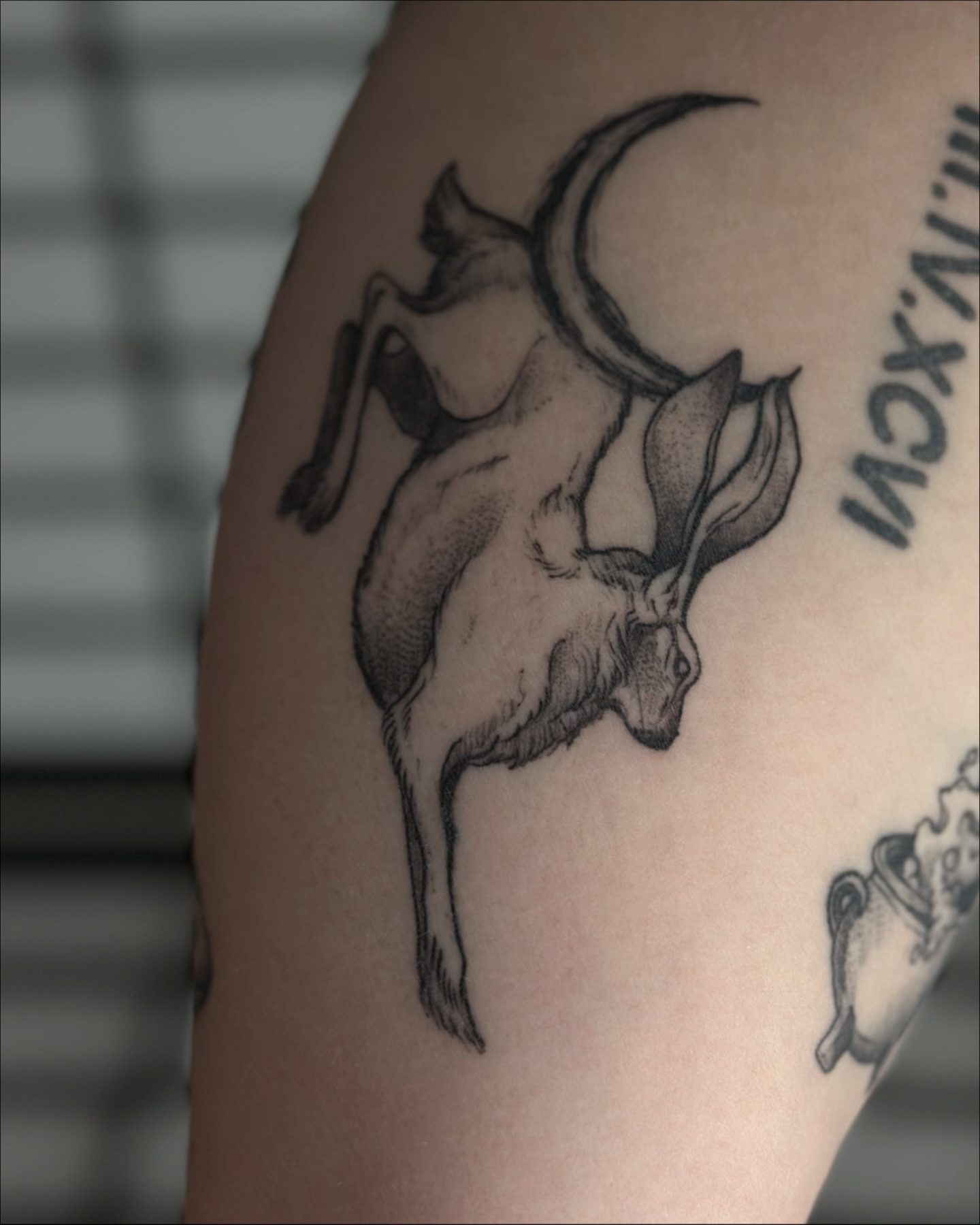 Tattoo by @carnivorousfx — black_and_grey