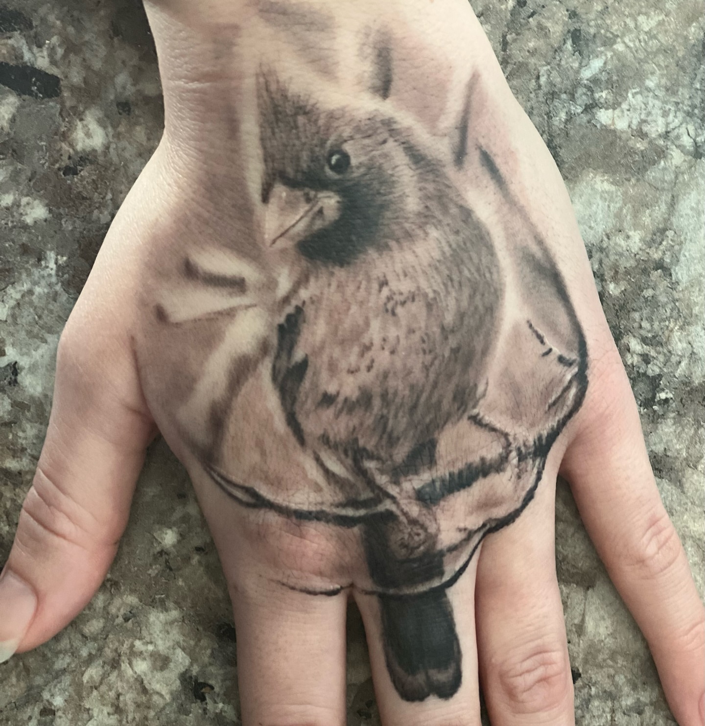 Bird realism tattoo on the hand by Kyle J. Bishop