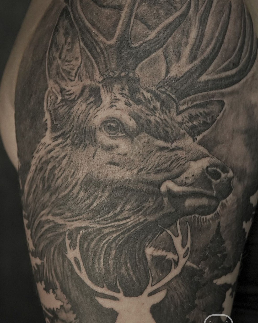 Tattoo by @unorthodox_tattoo — black_and_grey, realism