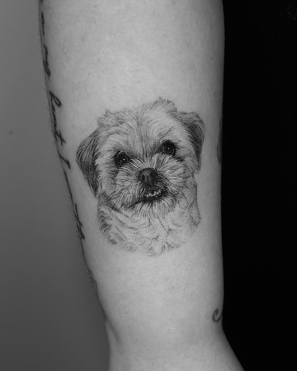 Tattoo by @wonniiink — dotwork, realism