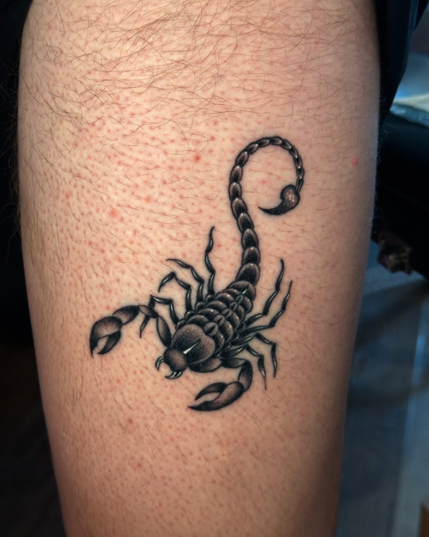 Scorpion black and grey tattoo on the leg by Matthew, Georgetown, Texas