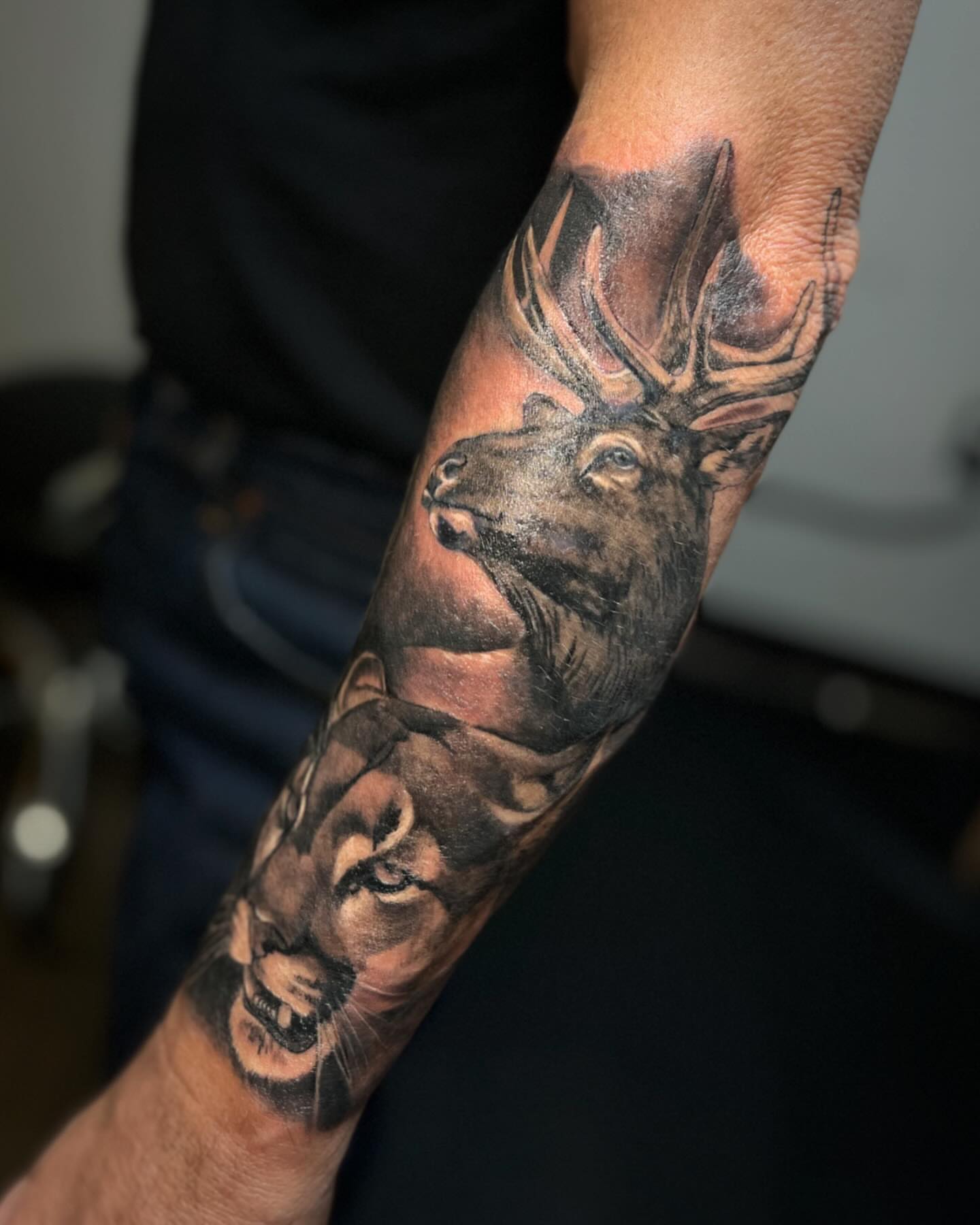 Lion and deer realism tattoo on the forearm by Katlyne Jones