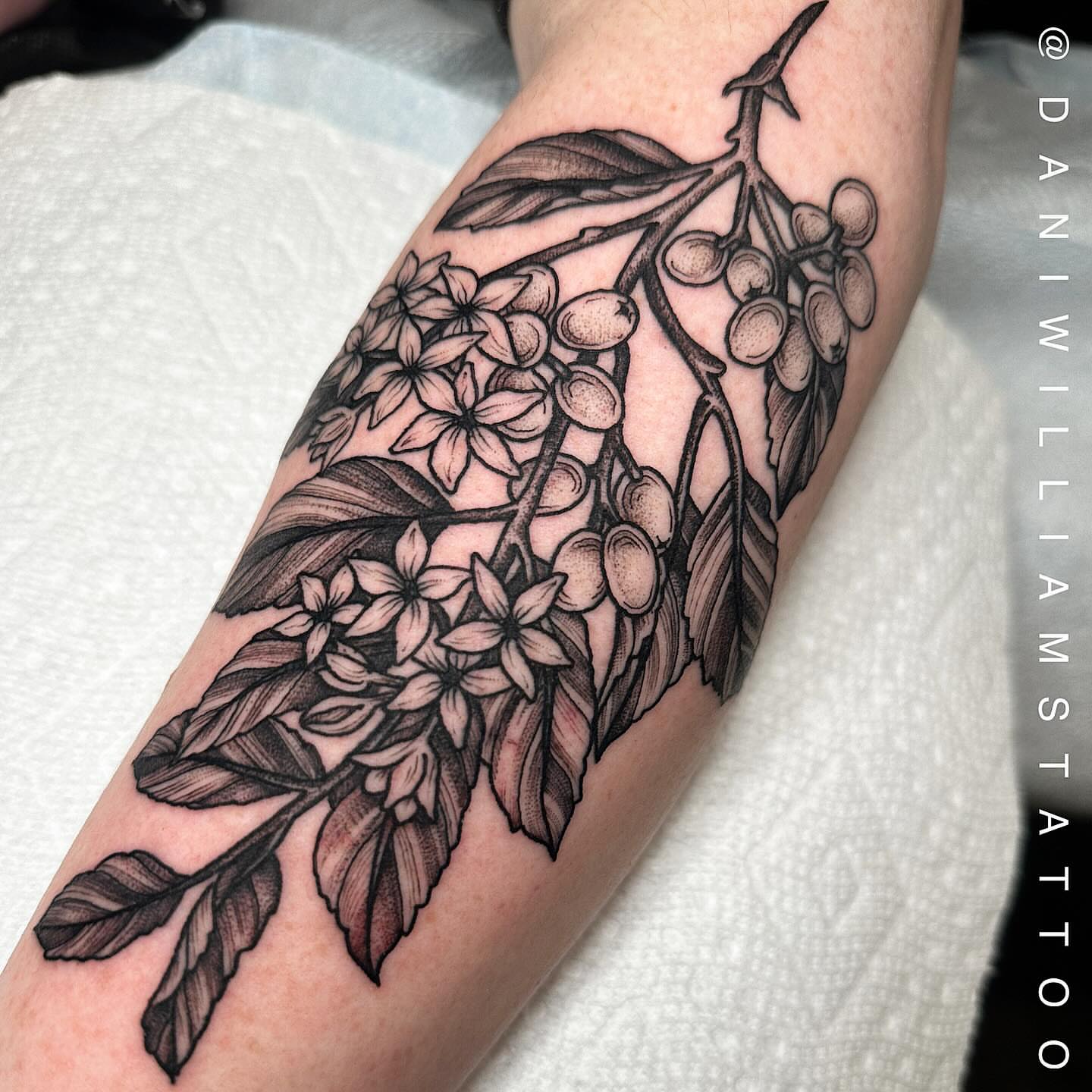 Coffee plant realism tattoo on the forearm by Dani Johnson
