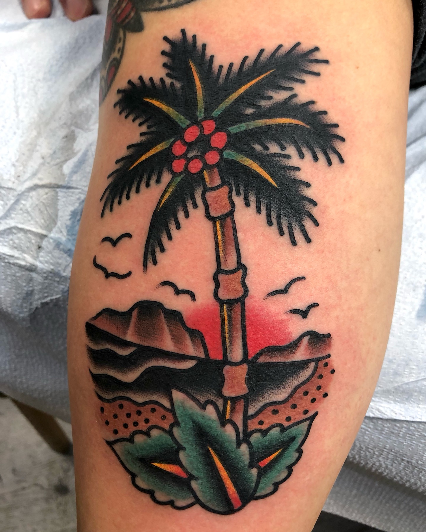 Palm tree American traditional tattoo on the forearm by Nick Sharratt, Chicago, Illinois