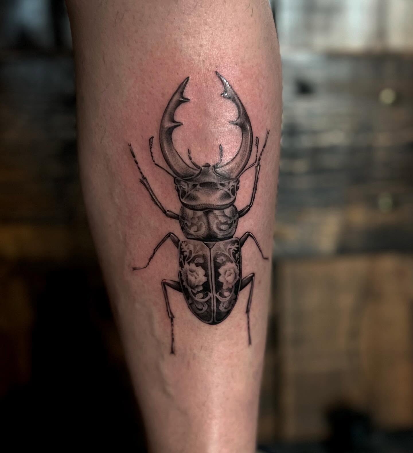 Stag beetle realism tattoo on the forearm by Lee Ranco