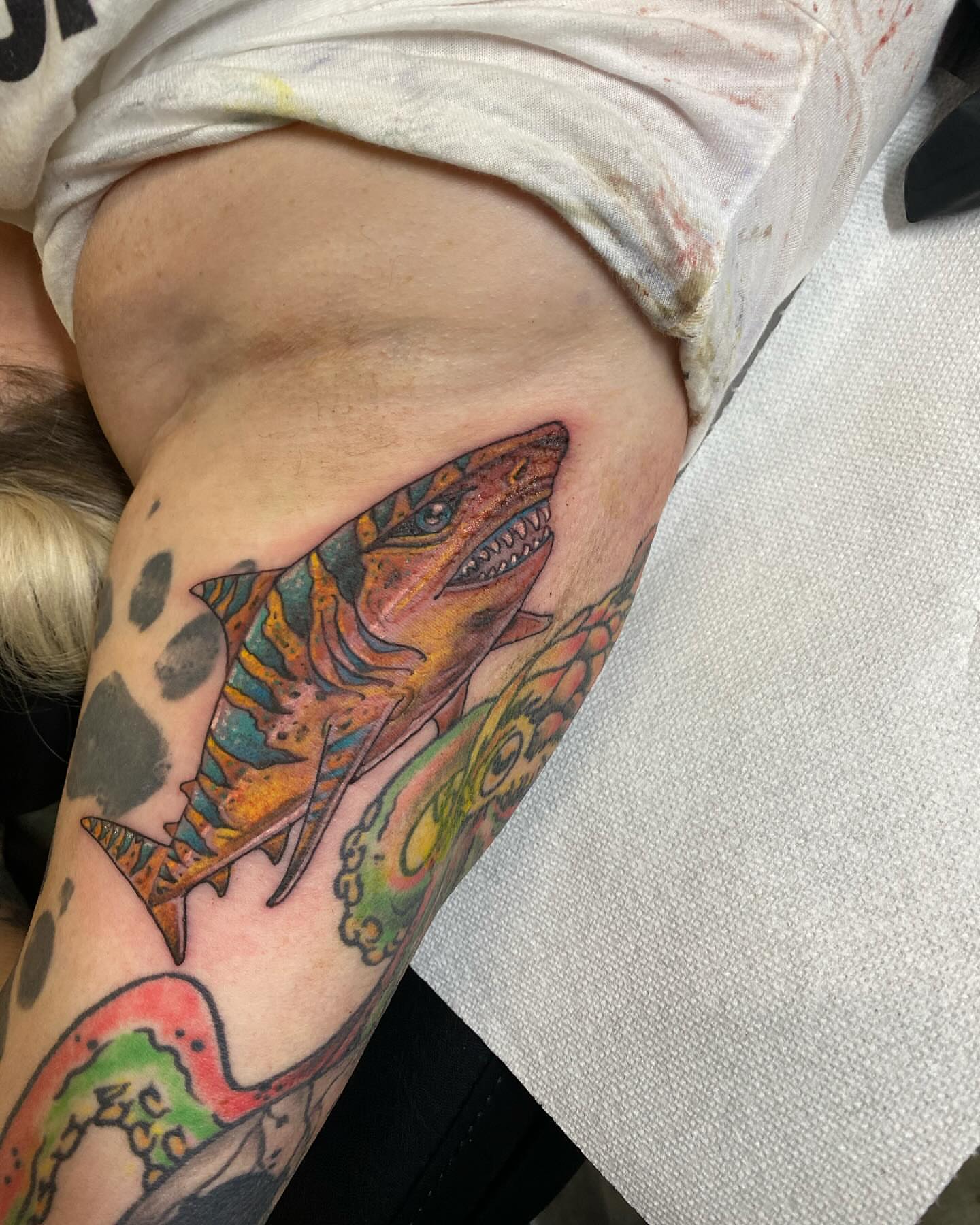 Shark American traditional tattoo on the forearm by Chase Skylar Clayton Ogle