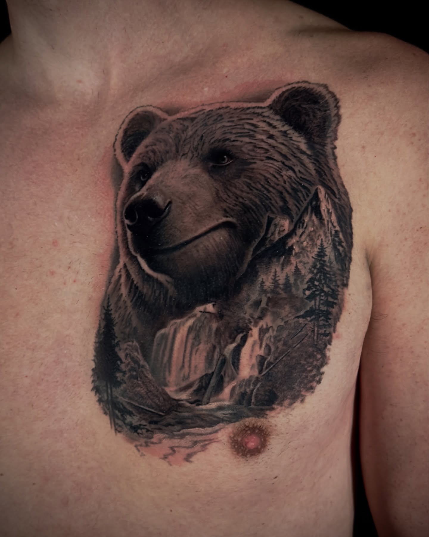 Bear realism tattoo on the chest by Nic Luna