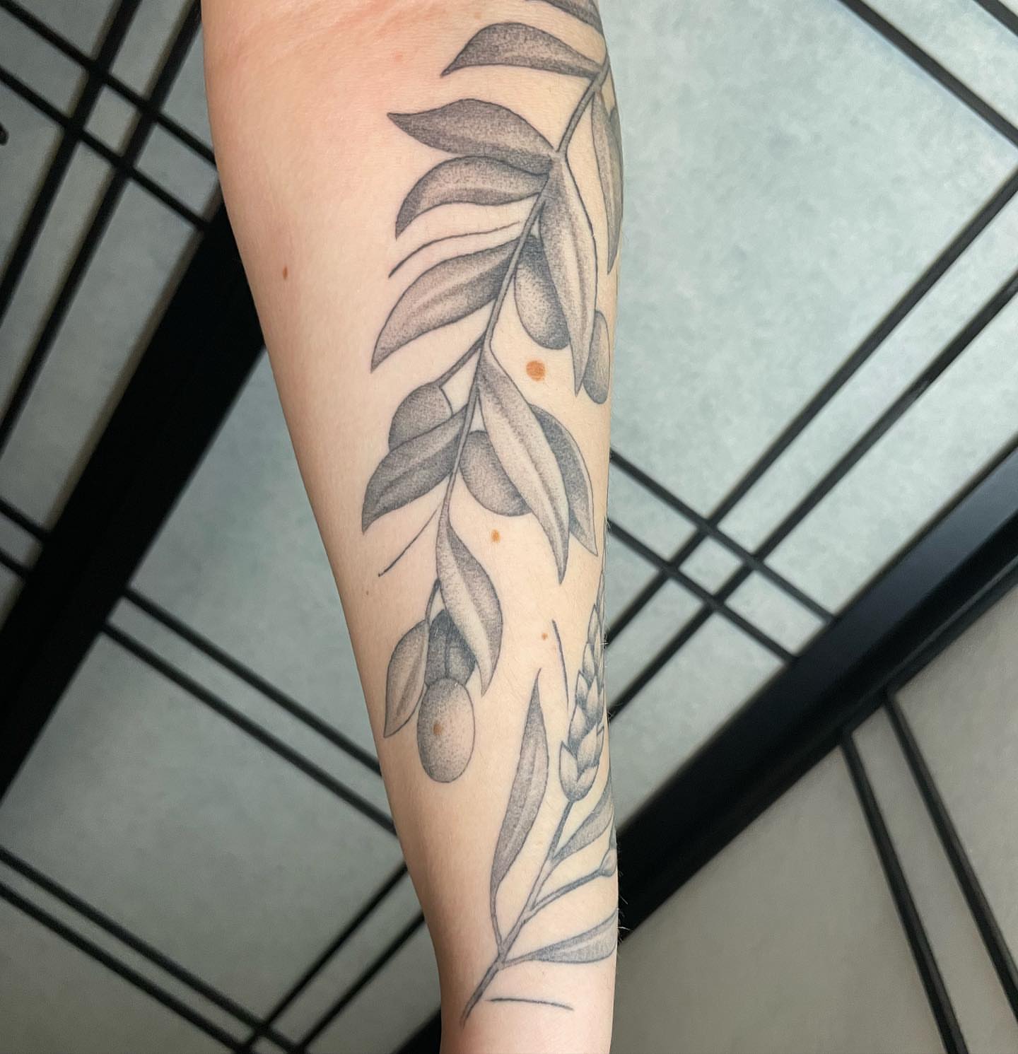 Branch with leaves and berries dotwork tattoo on the forearm by Seattle Tattoo Artist, Bonney Lake, Washington
