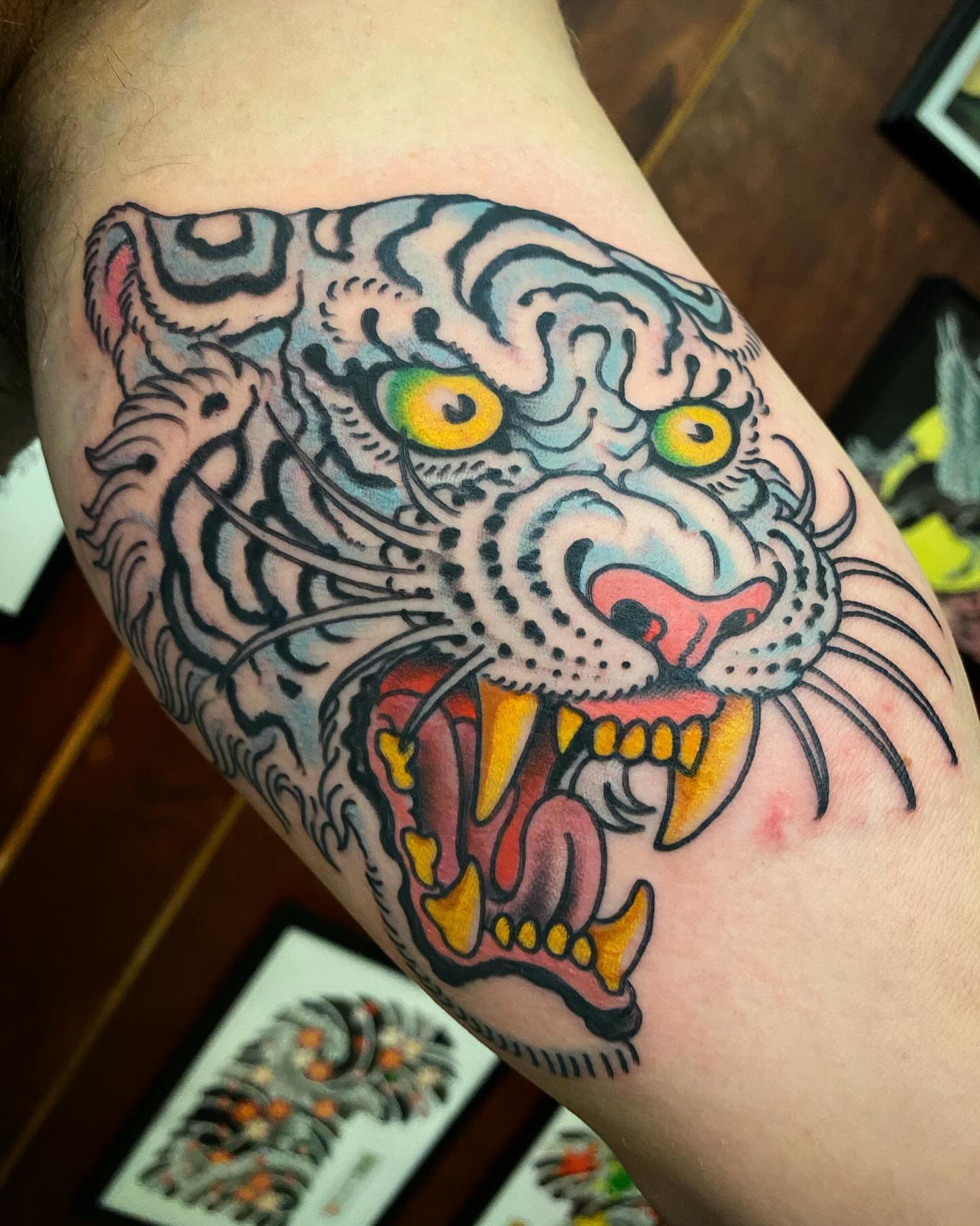 Tiger American traditional tattoo on the forearm by Adam Warmerdam, Los Angeles, California