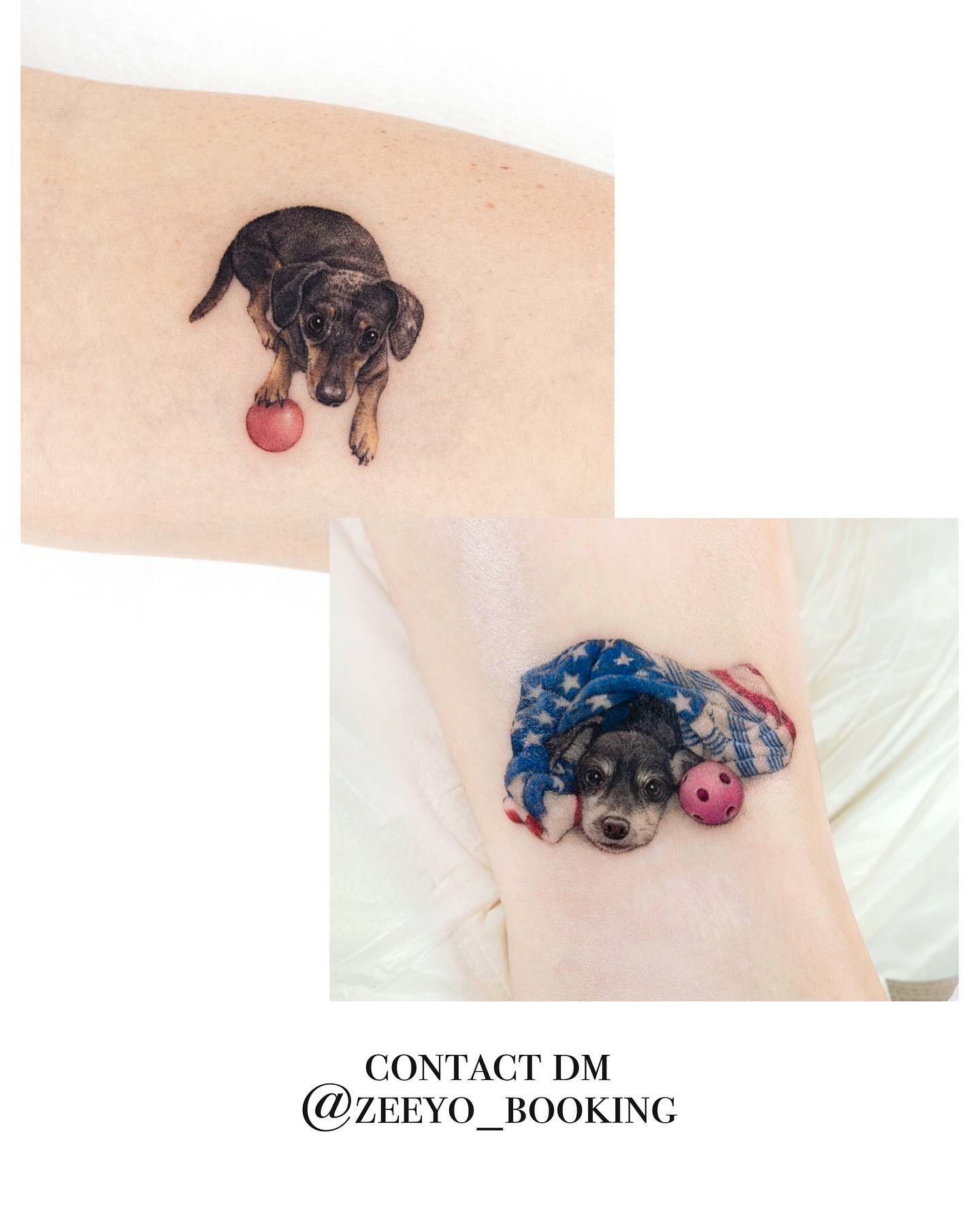Dog with ball realism tattoo on the forearm by Zeeyo 지요