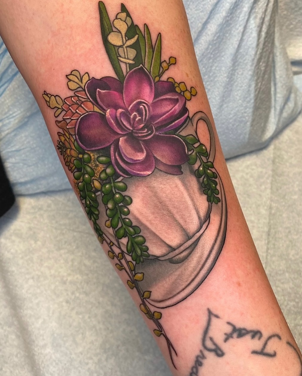 Teacup and succulent realism tattoo on the forearm by Anali De Laney