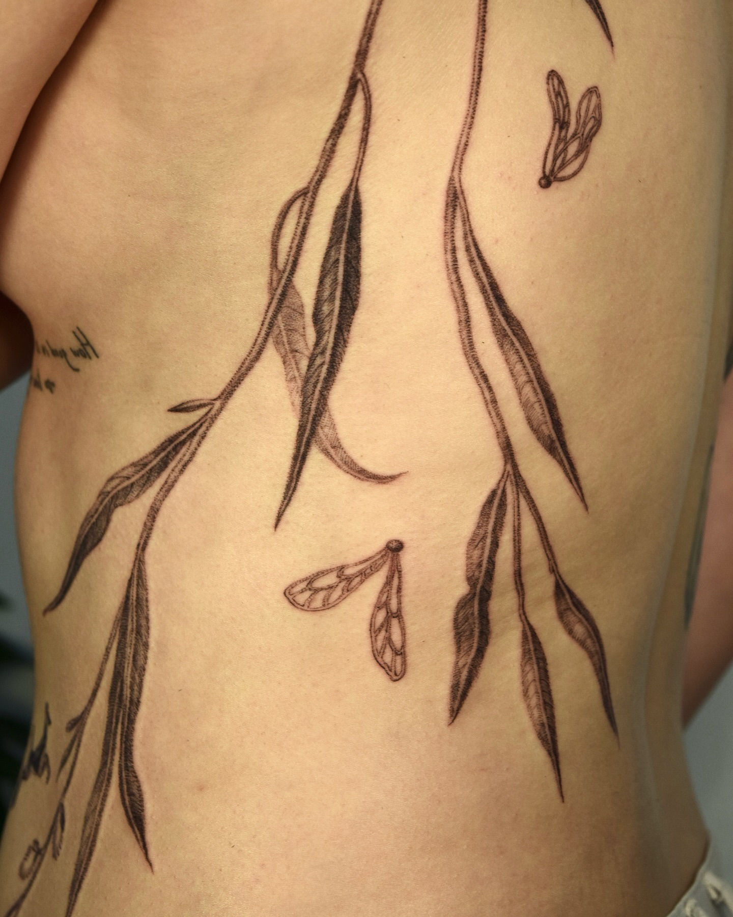 Willow branches and mistletoe realism tattoo on the ribs by Stella Oh