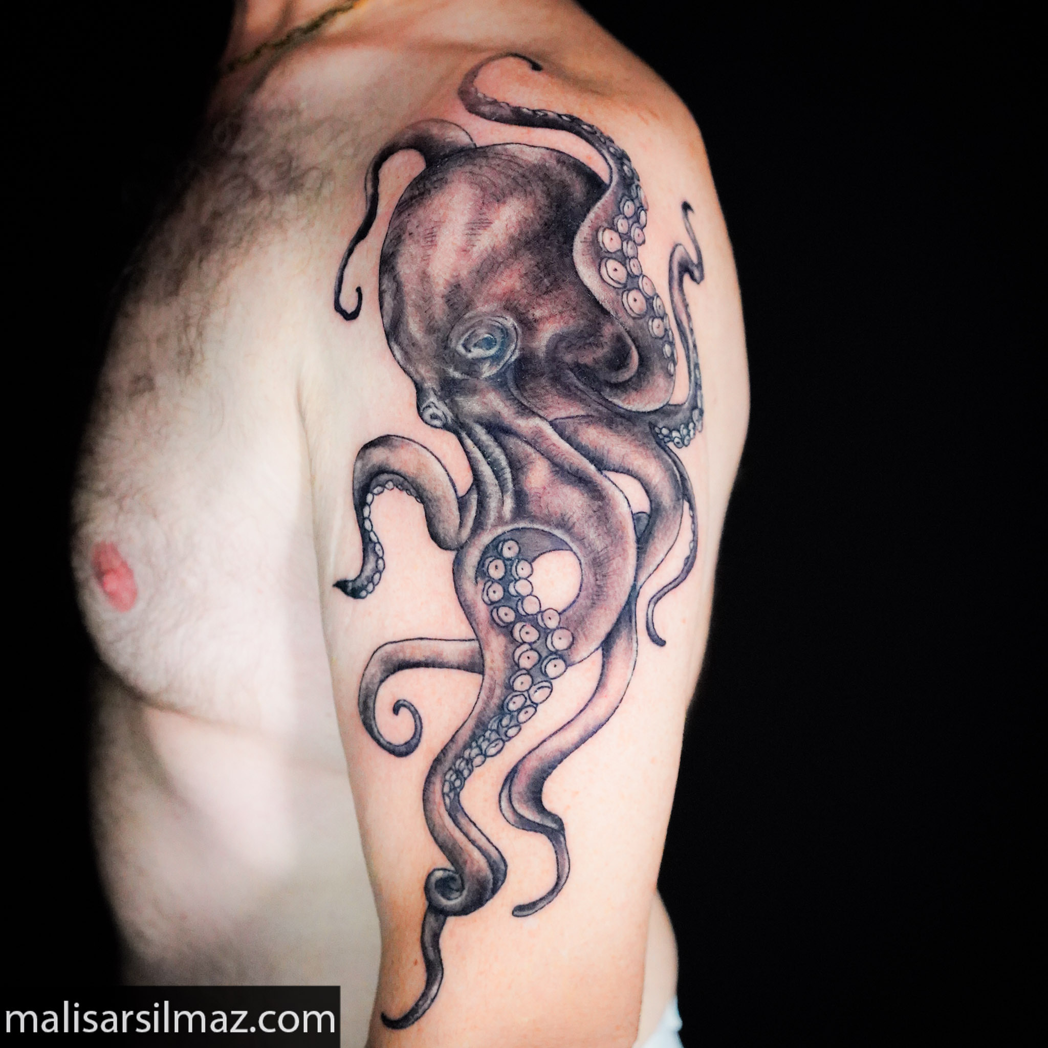 Octopus realism tattoo on the upper arm by Mali Sarsılmaz, Nicosia, Cyprus