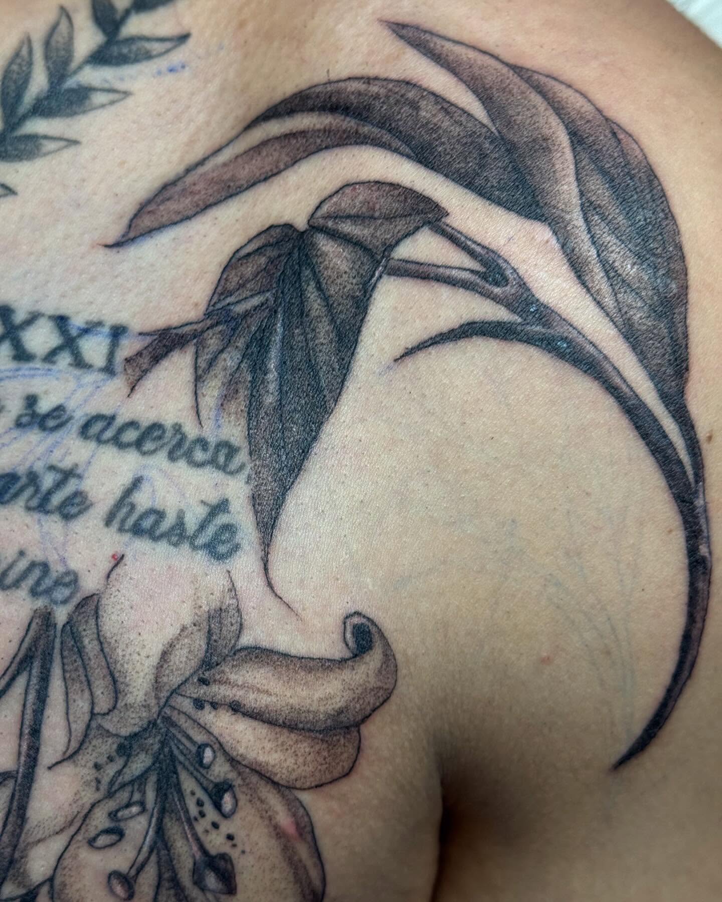 Tattoo by @bellyink_ — black_and_grey, realism