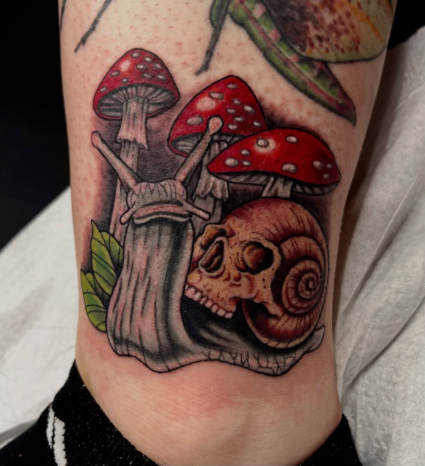 Snail and mushrooms realism tattoo on the forearm by Kenny Buck