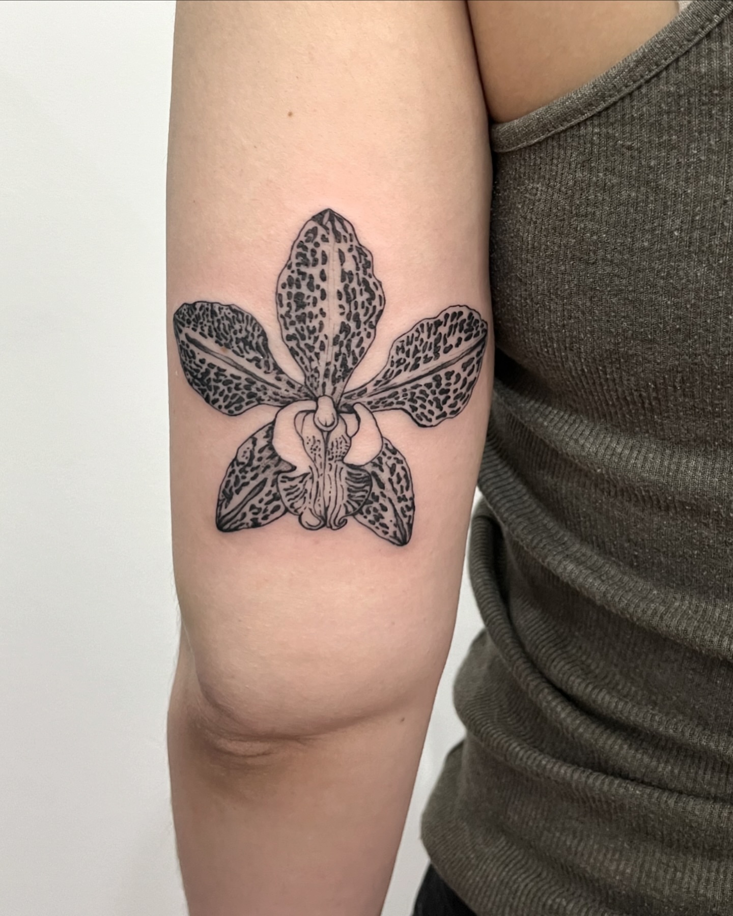 Orchid dotwork tattoo on the forearm by Ying Xeon