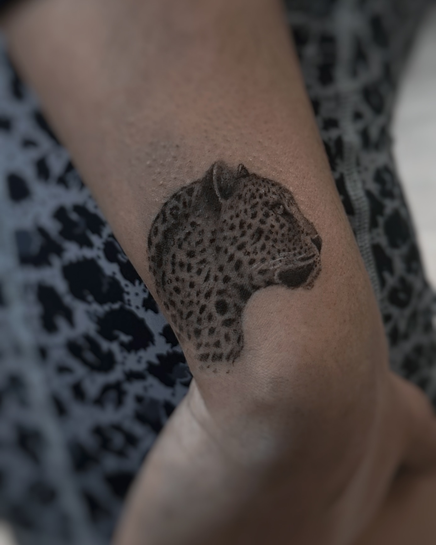 Leopard black and grey tattoo on the forearm by Lily K.