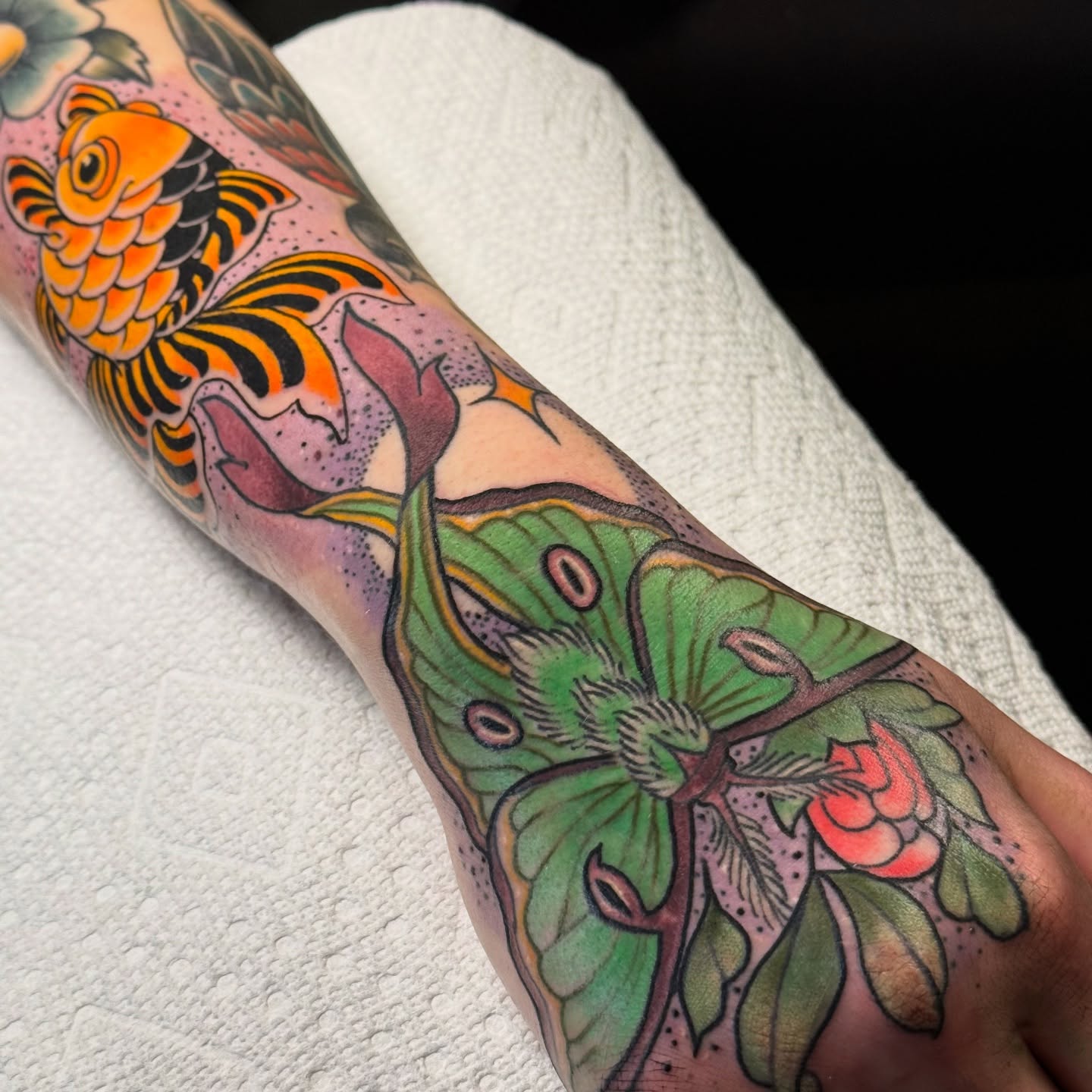 Koi fish and butterfly American traditional tattoo on the forearm by Jhon
